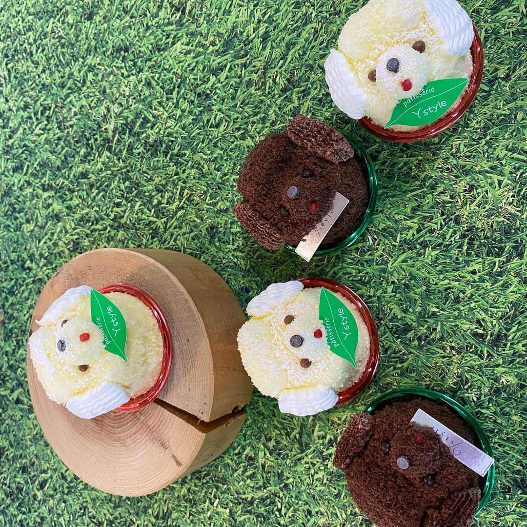 箕面 マカロン ワイスタイルのインスタグラム