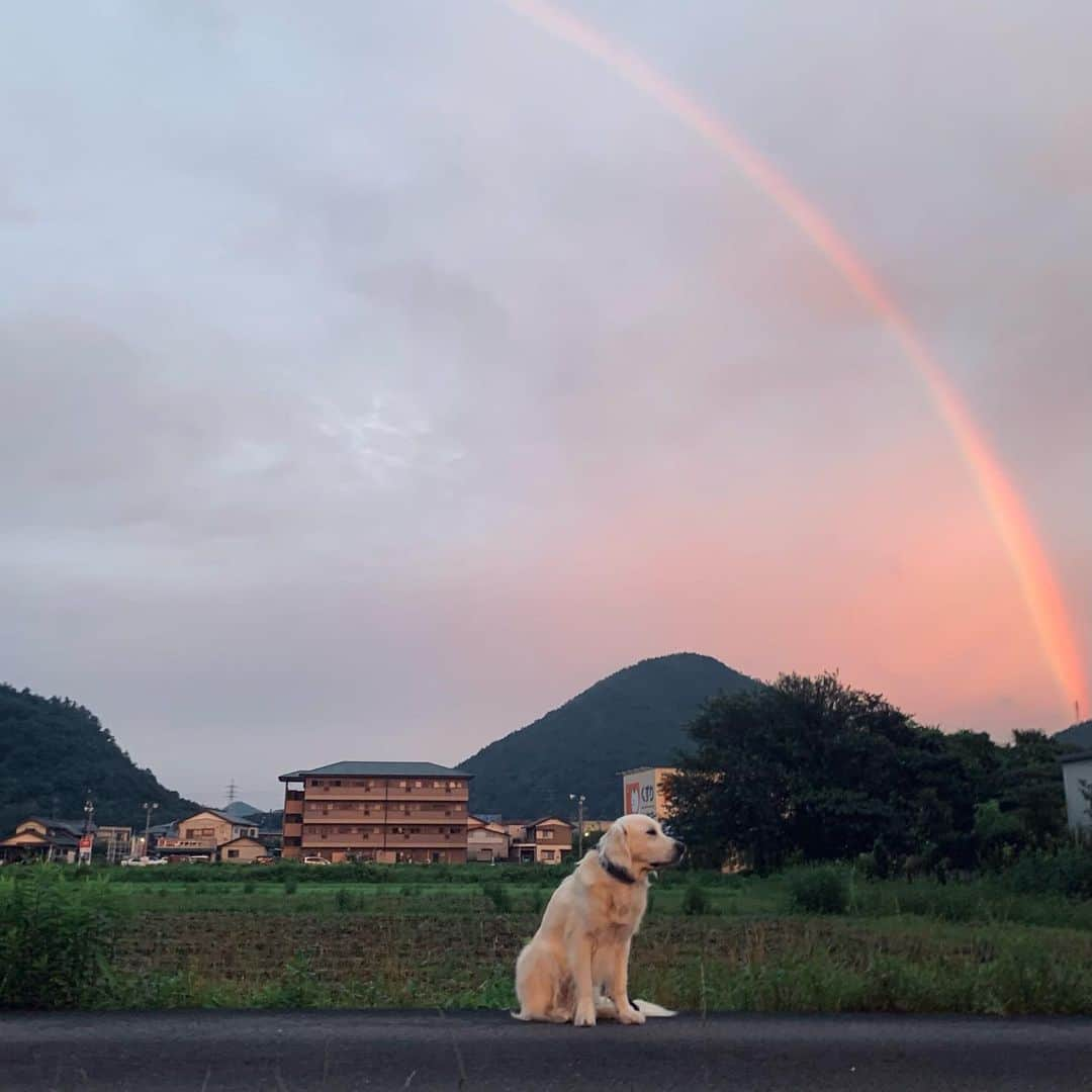 P太郎ママさんのインスタグラム写真 - (P太郎ママInstagram)「4:48の #朝焼けの空  #虹  もっと広い場所で撮りたくて小走りに移動したものの… 5分とたたず消えちゃった。 見ることできてよかった。 早起きも悪くないね。 さあ。 良い1日にしよう！」7月11日 6時51分 - ptarodada