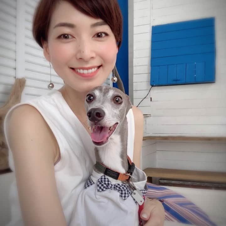 簑島宏美のインスタグラム：「* * 2年前の幸せな時間…🐶☺️❤️ 得意げに膝の上に座って、周りを見渡しては、誰かからの褒め言葉待ちをしていたハウル😂 良い子だね〜と褒められるのが大好きな子でした💕 * #大分カフェ#大分グルメ#大分ランチ#oitacafe#oita#oitagram#おんせん県おおいた#大分カフェ巡り#大分市#大分市ランチ#大分市カフェ#イタグレ#イタリアングレーハウンド#italiangreyhound#dogstagram#イタグレとの暮らし#iggysofinstagram#iggygram #iggylove#iggylife#犬のいる暮らし#イタグレ服#iggysoftheworld #iggysofinstagram #dogsofig #dogsofinstagram #犬好きな人と繋がりたい」