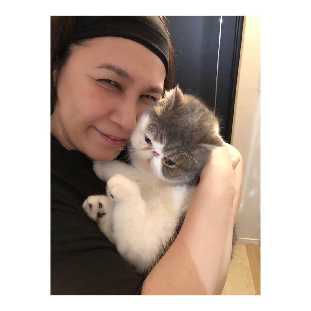 千吉良恵子さんのインスタグラム写真 - (千吉良恵子Instagram)「姪の#千吉良美樹　@chigim  @kotatsu1220  #愛猫 #こたつ #いなり 新しい家族（いなり）に会いに💕 こたつに会うのも久しぶり😍💕大きくなったなあ💕 いなり…ちっちゃい😍💕 たまらない❣️癒しの時間をありがとう」7月11日 20時16分 - chigirakeiko