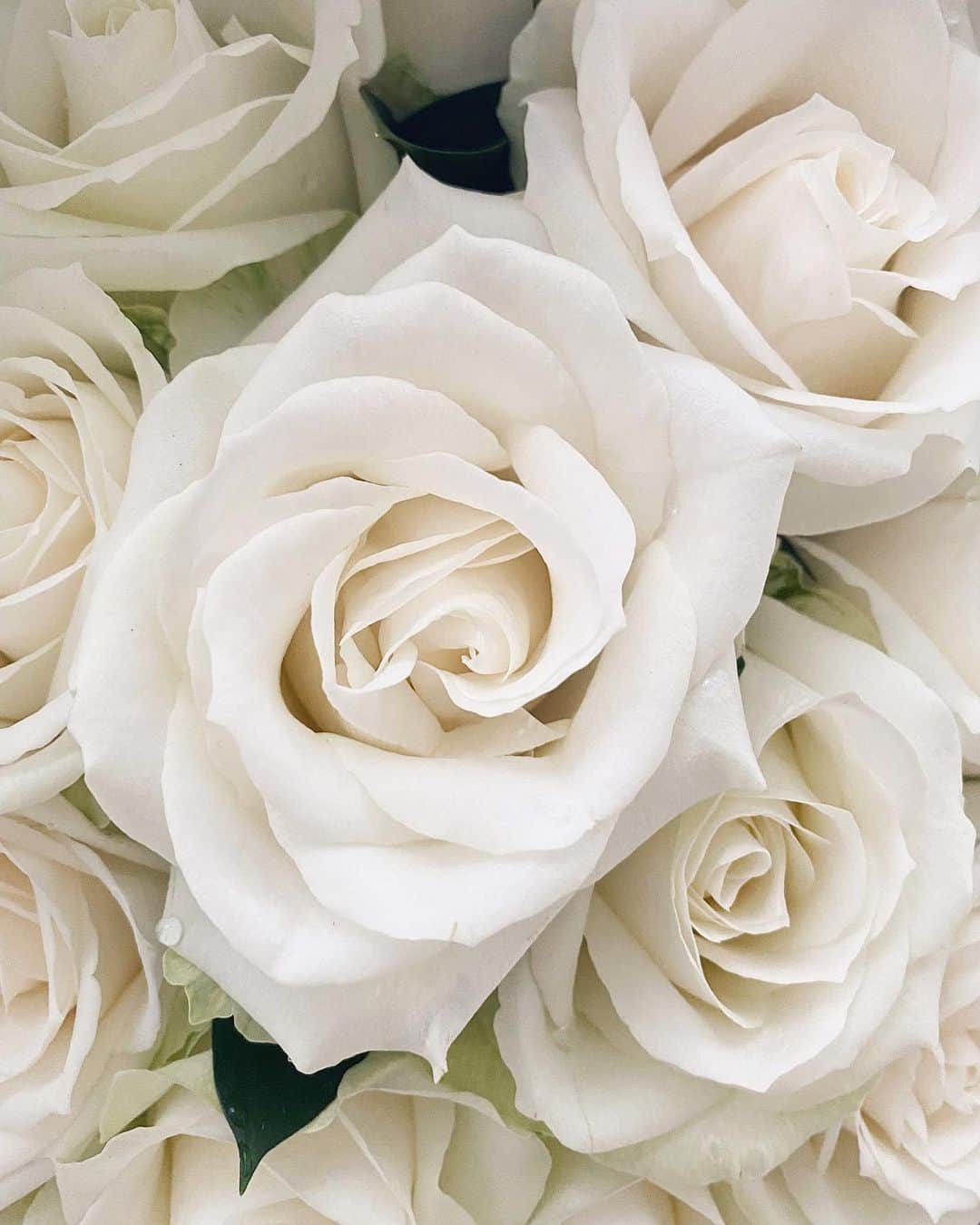 のインスタグラム：「Have a nice Sunday 💖  素敵な日曜日を💖  Beautiful flowers from Fendi. Thanks 🤤💖」