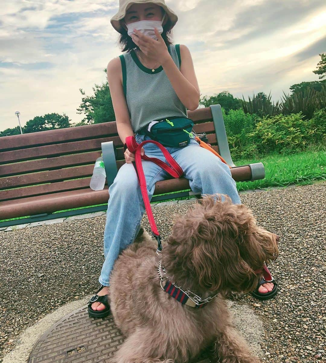 薮下柊さんのインスタグラム写真 - (薮下柊Instagram)「DOG DEPTのタンクトップめっちゃお気に入り🐶☺️  レトロなデザインがおしゃれで、生地が本当によくて、ポパイのお散歩に打って付けです！🧡🌱  昔から、親はDOG DEPTで頻繁に買い物をしていたらしく、薮下家のカレンダーはいつもDOG DEPTのものでした☺️🌿　とっても可愛いんです😊🧡」7月11日 21時46分 - __yabushita_shu__