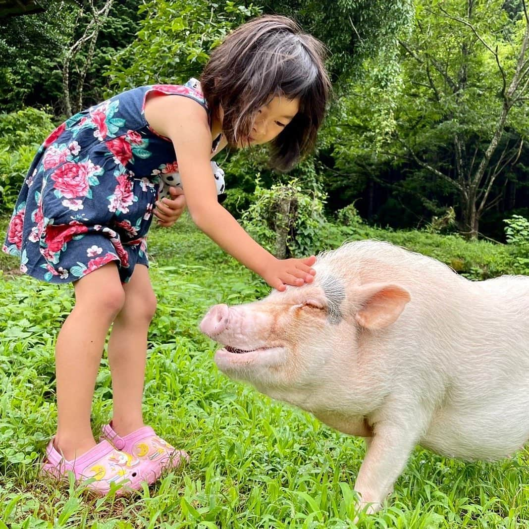 國母和宏さんのインスタグラム写真 - (國母和宏Instagram)「娘と豚Daughter and pig 👗🐖 自然と愛Nature and love🏞❤️」7月11日 16時30分 - kazukokubo