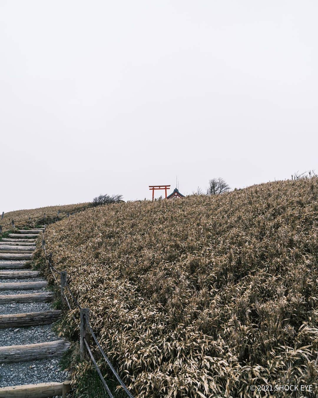 SHOCK EYEさんのインスタグラム写真 - (SHOCK EYEInstagram)「ロープウェイに乗り向かったのは箱根神社の奥宮である「箱根元宮」⛩  標高1356ｍの駒ヶ岳山頂は、火山の影響で高い木々がない異世界。  神威を感じる不思議な神社は、 古代祭祀の地でもある雲上のパワースポットでした。  僕の周りにも崇敬者の多い関東有数のパワースポットである箱根神社。 その奥宮、、是非訪れてほしいな。  この日は霧がかっていて、とにかく凄かった〜🙏  箱根神社、九頭龍神社と合わせて、三社巡りすれば、 ご利益MAXだよ😆✨  This is Hakone Shrine. The mountain shrine where God lives was amazing.  It was foggy and mysterious.  #箱根神社 #箱根神社元宮  #hakone #hakoneshrine #shrine #jinja #japantravel #japantrip #fujifilm #gfx100s #xs10 #beautifuldestinations #discoverjapan #discoverearth #voyaged #awesome_photographers #discovertokyo #tokyophotography #IamATraveler #wonderful_places #japanphoto #japanphotography #japan_of_insta #livingonearth #theglobewanderer」7月12日 9時58分 - shockeye_official