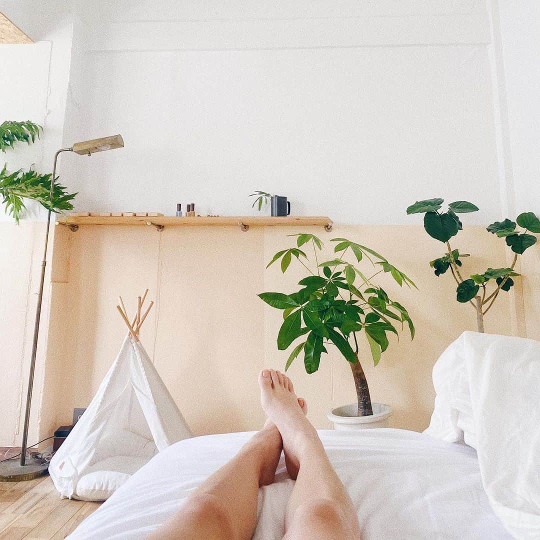Ami さんのインスタグラム写真 - (Ami Instagram)「ここは植物の保健室🪴 この部屋に来ると生き返るというジンクスがあります😊 みんなが楽しそうで嬉しい🧡」7月12日 10時33分 - ami_dream05