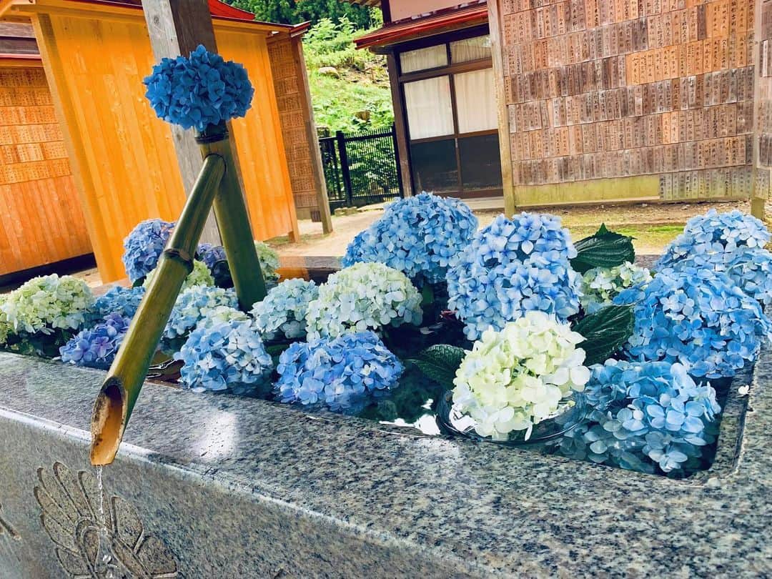 りこぴのグルメインスタ