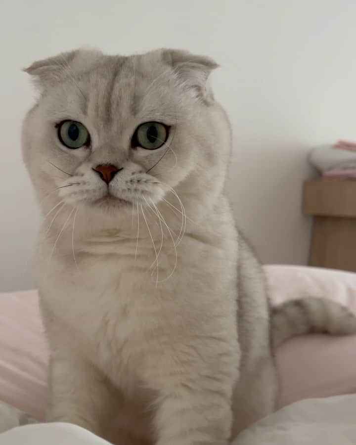 Hiroのインスタグラム