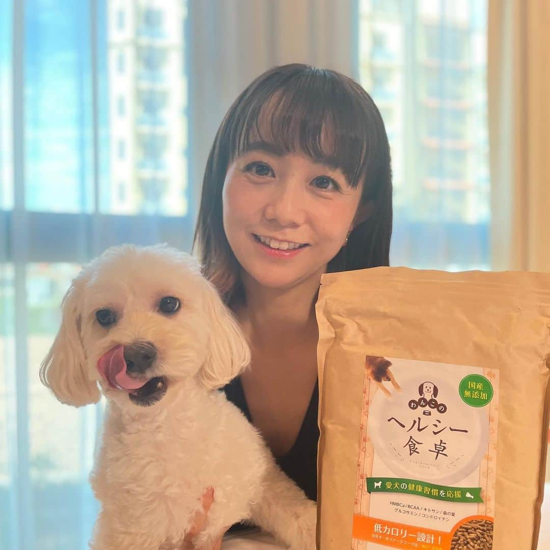 福田萌さんのインスタグラム写真 - (福田萌Instagram)「5歳の愛犬チョビのご飯。毎日口にするものだから、少しでもいいものをと考えるのですが、ヘルシー志向のものは味がイマイチで食いつきが悪いなんてことも。わんちゃんライフの「わんこのヘルシー食卓」は、栄養や気になる添加物がしっかりと考えられている上、チョビも大好きな味のようで食いつきが素晴らしい！ダイエット志向のわんちゃんはもちろん、関節や筋肉の健康維持のサポートにもおすすめです。  #PR #わんちゃんライフ #わんこのヘルシー食卓 #ドッグフード #ダイエットドッグフード #おすすめドッグフード #犬肥満 #無添加ドッグフード」7月12日 20時34分 - fukuda.moe