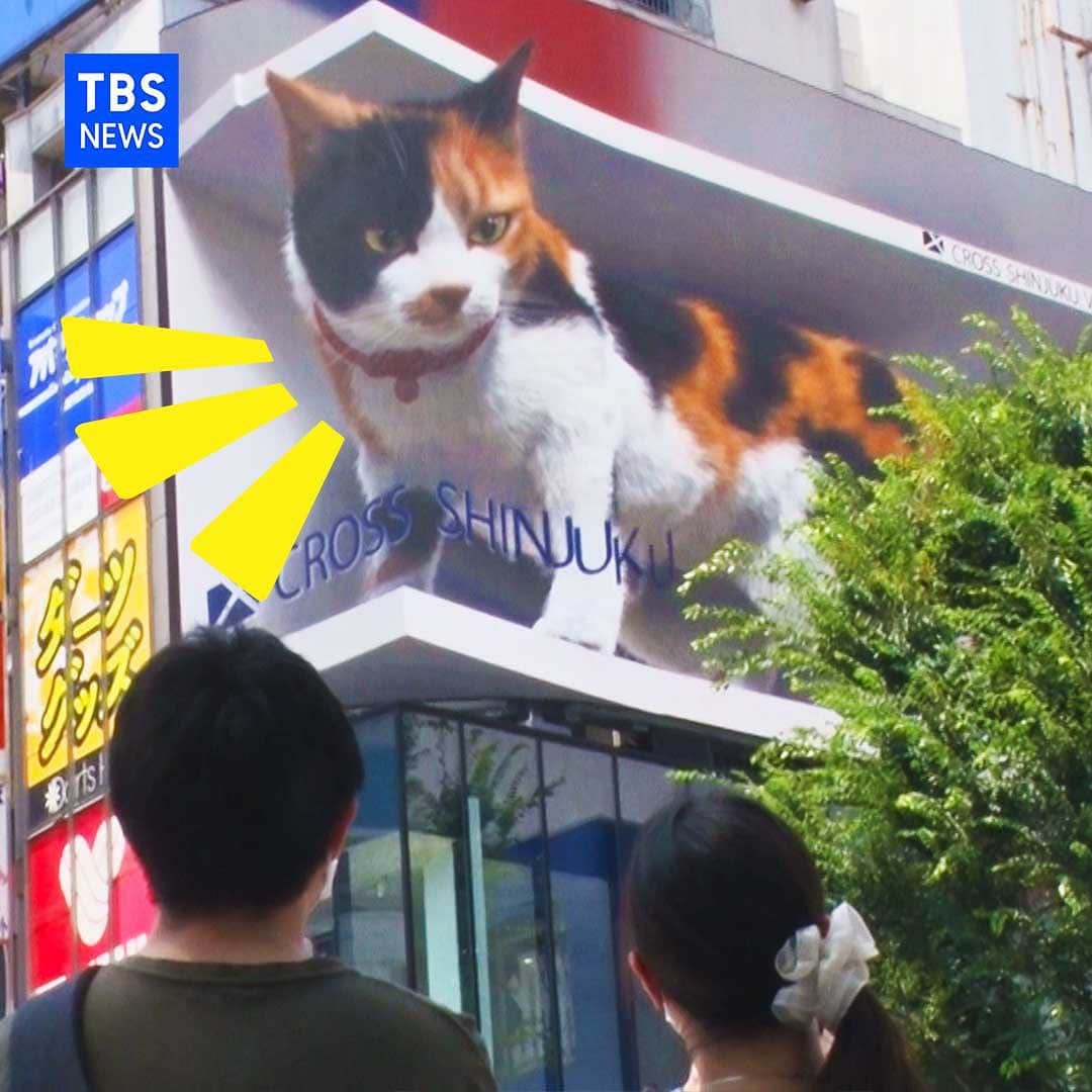 TBS NEWSさんのインスタグラム写真 - (TBS NEWSInstagram)「新宿駅前に出現した３Ｄの巨大ネコ。 本物のようなリアルな動きで、新たな名所に。   #新宿 #巨大ねこ #ねこ #3D」7月12日 20時38分 - tbsnews_insta