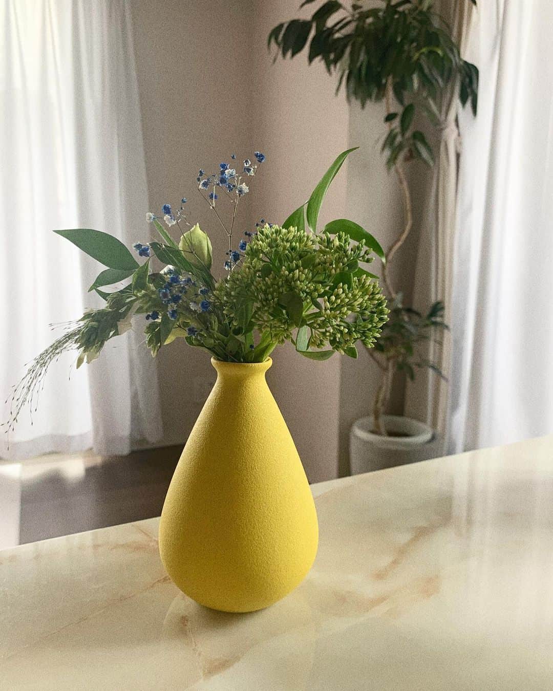 山田菜々さんのインスタグラム写真 - (山田菜々Instagram)「今日から仲間入りしたお花。  今回は  @flowr_is で頼みました☺︎  このお花の色に合わせて花瓶まで新しくしました🌼 青と黄色って可愛いよね...🥺♡  お花があるとそれだけで空気が澄んで見えて華やかであたたかい気持ちになるから好きなんです🤭💕  この @flowr_is  はアプリで好きなお花を選んだらポストに投函されるのでそれを花瓶に飾るだけ。  わたしのこのクーポンで最初のお花は無料になるからぜひ使ってね☺️♥︎【ZDD6】  なかなかお花買いに行く時間とれないとか、お花飾ってみたいけど...みたいな人には特に手軽にお花のある生活送れるからおすすめです☺️♡  #flower_is #お花の定期便 #PR」7月12日 20時39分 - tannana.yamada