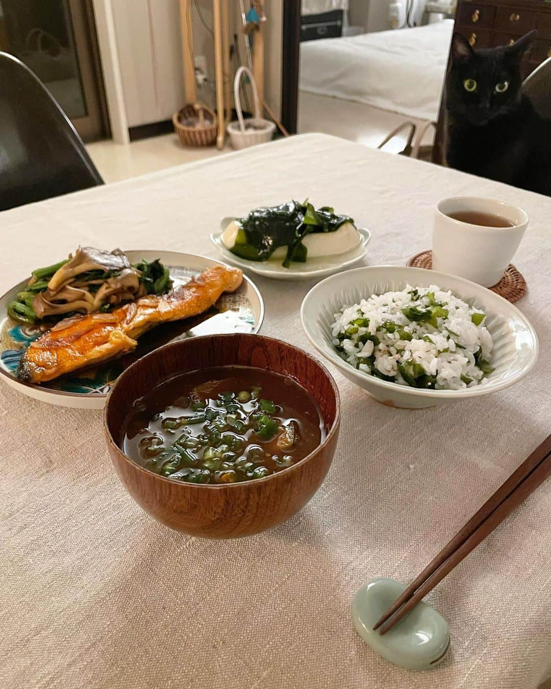 猫沢エミさんのインスタグラム写真 - (猫沢エミInstagram)「こんばんは❤︎  ママの食事担当、ピガ兄です。  今夜のメニューは、鮭のにんにくバター照り焼き・春菊と舞茸も一緒に炒めちゃいました♡と、手抜き副菜の塩わかめ奴、ごはんもわかめとごまの混ぜごはん。わかめかぶりですね。味噌粕汁は夏野菜でストックを温めただけ。  ママが鮭をチョイスするときは、ツカレテル♡のサイン。  盛り付けもかなり雑。  以上、現場からでした！  #ピガ兄　#猫沢飯　#ねこしき」7月12日 22時39分 - necozawaemi