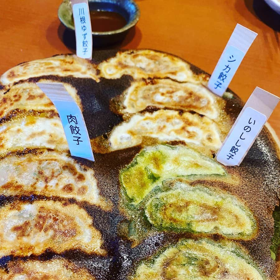 kawanepassportのインスタグラム：「餃子四兄弟 #シカ #イノシシ #肉 #川根ゆず  それぞれの特長を生かした餃子🥟  川根に行ったら 食べる価値のある一品😄  ・ ・  #餃子 #ぎょうざ #ギョウザ #ジビエ餃子 #ジビエギョウザ  #ジビエぎょうざ  #川根あけぼの  #あけぼのの餃子 #あけぼののギョウザ #あけぼののぎょうざ #川根グルメ」