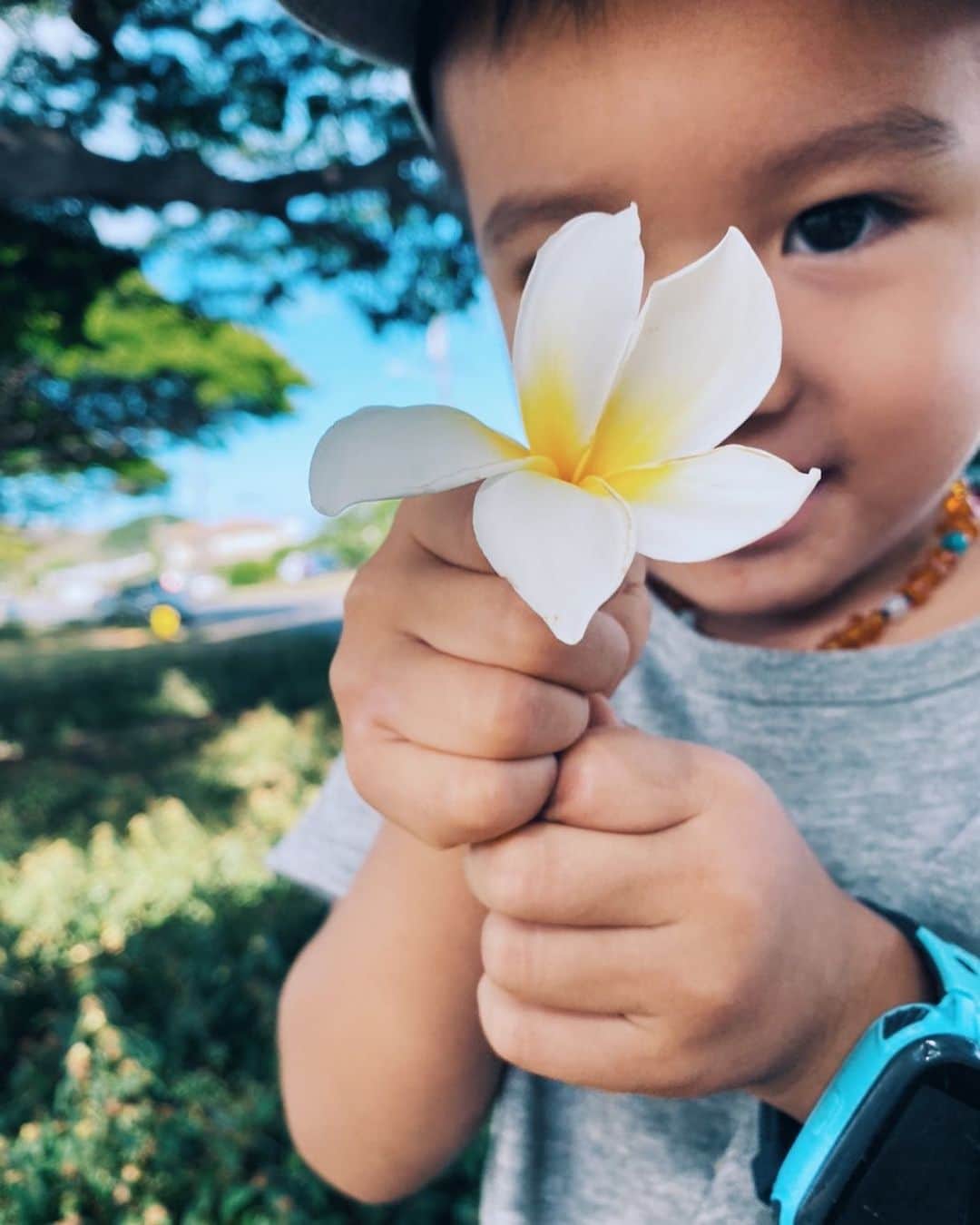 吉川ひなのさんのインスタグラム写真 - (吉川ひなのInstagram)「まだ外に出れないわたしとベイビーに、いつもお花のお土産をくれる息子🌺  お友達のママに公園に連れてってもらったりして、みんな、ありがとう🥰  #息子HawaiiLife #plumeria」7月13日 18時59分 - hinanoyoshikawa