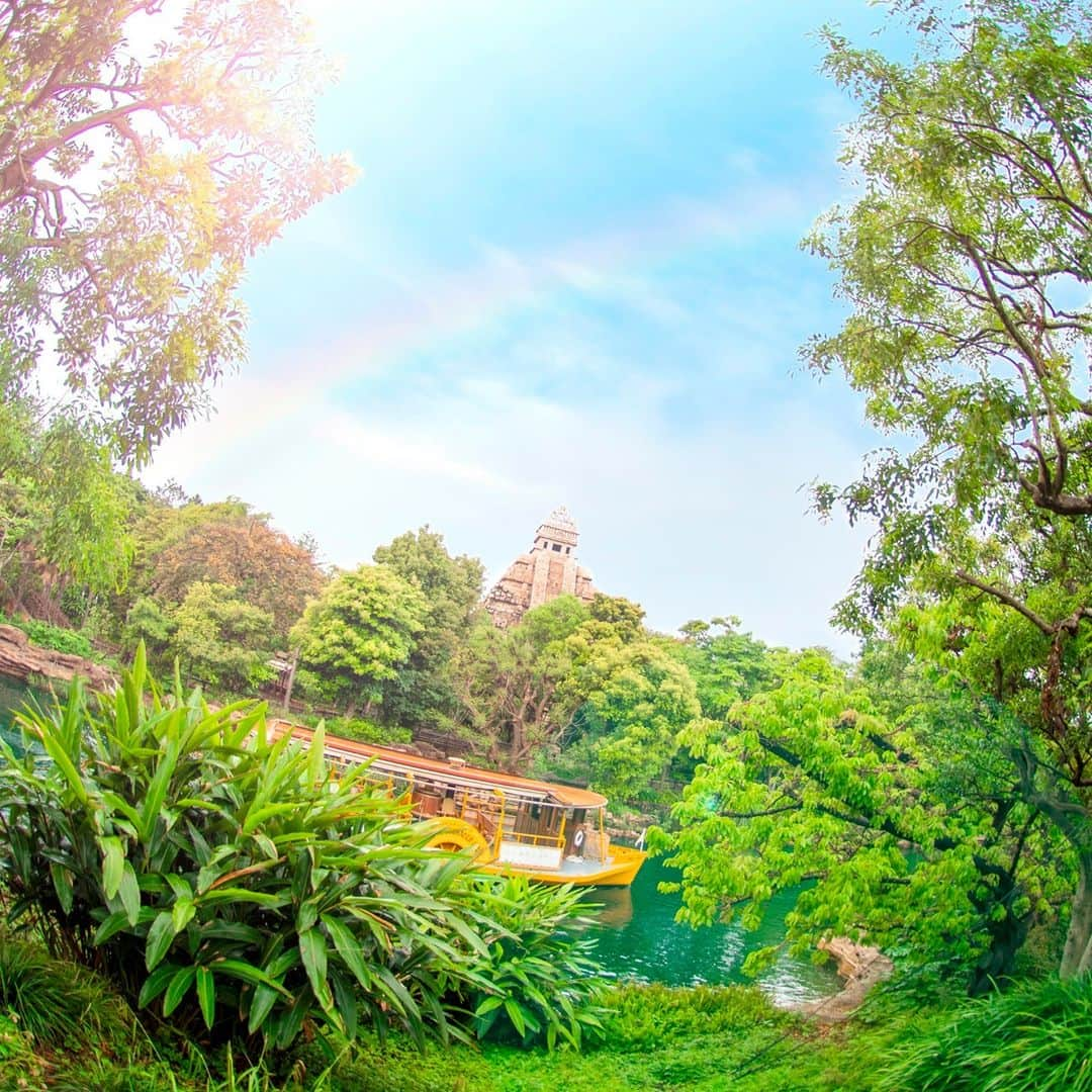 東京ディズニーリゾートさんのインスタグラム写真 - (東京ディズニーリゾートInstagram)「A sky painted in color! 虹を超えて🌈 #rainbow #disneyseatransitsteamerline #indianajonesadventure #lostriverdelta #tokyodisneysea #tokyodisneyresort #虹 #ディズニーシートランジットスチーマーライン #インディジョーンズアドベンチャー #ロストリバーデルタ #東京ディズニーシー #東京ディズニーリゾート」7月13日 13時10分 - tokyodisneyresort_official