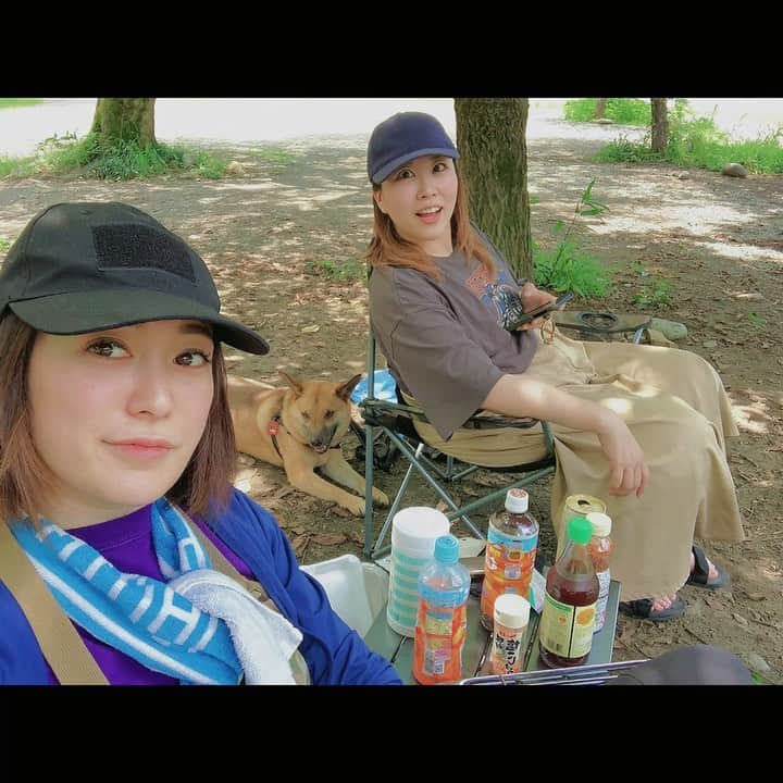 佐々木海のインスタグラム：「畑ちゃんとBBQに行きました〜🍖 アンバーも肉いっぱいもらったし、川ではしゃいでたな😊 相変わらず畑ちゃんに吠えまくってたけど😂 楽しかった〜🥰 #犬 #イヌ #イヌスタグラム #いぬすたぐらむ #犬バカ部 #いぬばか部 #ふわもこ部 #いぬら部 #犬のいる暮らし #保護犬 #元野犬 #雑種 #雑種犬 #ビビり犬 #里親 #保護犬を家族に #保護犬を飼おう #殺処分ゼロ #dog #dogs #dogstagram #doglove #doglover #doglovers #doglife #dogslife #rescuedog #rescueddog」