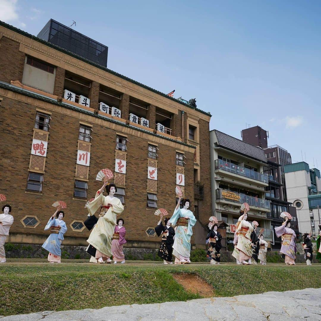 尾上菊之丞のインスタグラム：「先斗町の映像による『鴨川をどり』が遂に配信スタートしました！改めてご協力いただきました皆様に厚く御礼申し上げます。  普段の鴨川をどりの会場である先斗町歌舞練場の舞台だけでなく、鴨川の川辺でその歌舞練場をバックにして撮影を行うなど、クラウドファンディングを通して多くの皆様にご協力いただきましたお陰で、充実した撮影ができました。  コロナ禍の影響で撮影が延期に次ぐ延期。支援者の皆様には大変長らくお待たせいたしましたが、今はやっとご覧いただける喜びでいっぱいでございます。  同時にチケットぴあ《PIA LIVE STREAM》にて配信も行なっておりますので、そちらも是非ご利用ください！  https://t.pia.jp/pia/ticketInformation.do?eventCd=2110003&rlsCd=002  #鴨川をどり #京都 #先斗町 #芸妓 #舞妓 #花街 #尾上菊之丞 #クラウドファンディング」