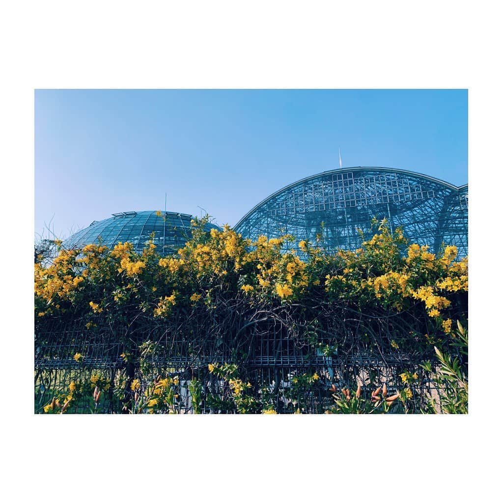 中井ノエミのインスタグラム：「🍋🌛⚡️Da kidz are alright ⚡️🌜🍋 . . .  #lensbible #roamtheplanet #stayandwander #voyaged #landscape #wanderlust #hellofrom #artofvisuals #japan #asia #wanderlust #instagramjapan #team_jp_ #nomad #japan #folksouls #nippon #artofvisuals #folkscenery #naturelovers #languor #humid #lush #summer #eteindien #rainyseason #tropical #flowers #greenhouse #blueskies」