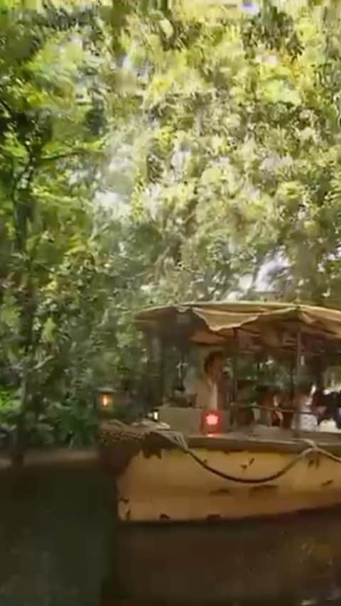 ドウェイン・ジョンソンのインスタグラム：「and I think you guys’ll love watching our NEW series!  #BehindTheAttraction!🎢🎪🌍  These are the iconic @Disney rides around the world that you’ve come to know and love - including the one and only JUNGLE CRUISE 🚢💀🌴  Now, our @SevenBucksProd and partners are bringing you behind the curtain as we share the wonder, the magic and the AMAZING STORIES #BehindTheAttraction.  Streaming on @DisneyPlus July 21st🎢」