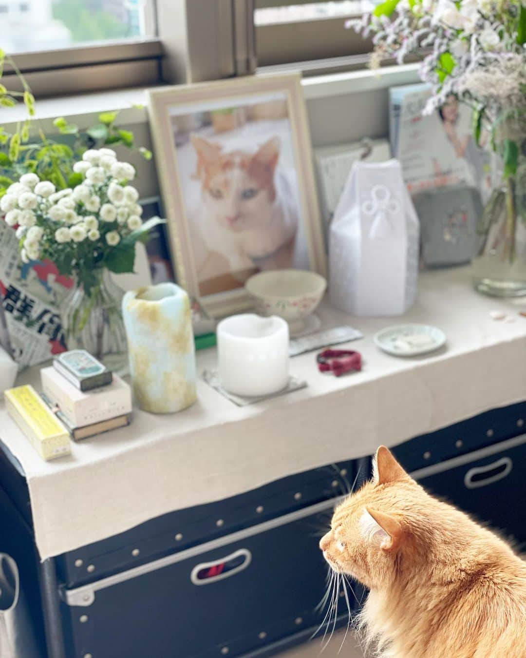 猫沢エミのインスタグラム