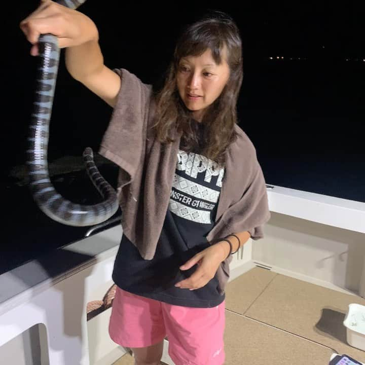 福島和可菜のインスタグラム：「船中泊4日目の夜🛥  ウミヘビちゃん🐍 船に遊びに来ました🙌  マジで可愛い😍❤️  この後元気に海に帰って行ったよ🌊  スッピンでごめんなさい🤣🙏（笑）  歌by オカマリ🎶  贅沢🥳  追加コメント ウミヘビは毒はありますが、きちんとプロの方のご指導の元でやらせていただいていますのでご安心下さい🤲 言葉が足りず失礼しました🐍  #fishing #番組 #ロケ #海 #fish #魚 #new #big #project #お楽しみに #ヘビ #ウミヘビ #可愛い #船中泊 #Love #outdoor #感謝 #max #ありがとう #よろしくお願いします #Movie #😎 #🥰 #✨ #🌊 #🎣 #🐟 #☀️」