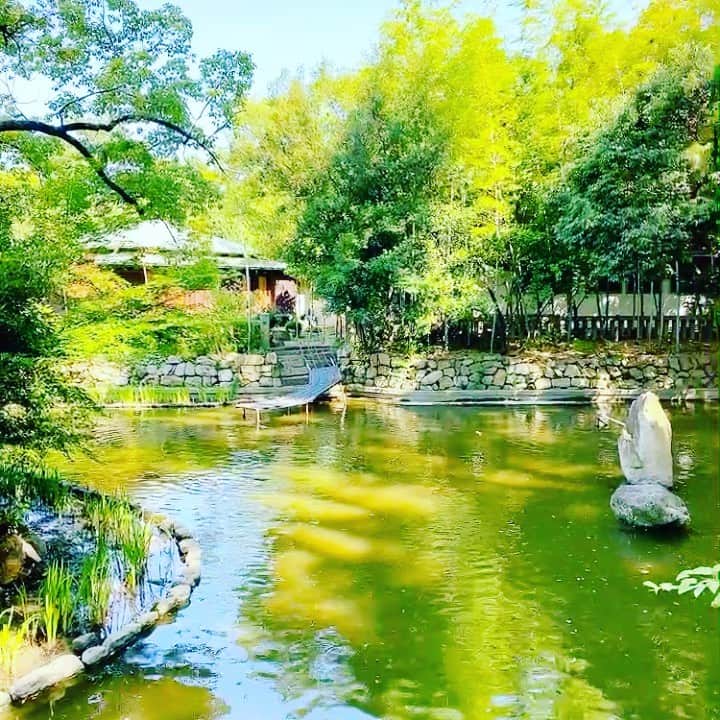 藤原紀香のインスタグラム