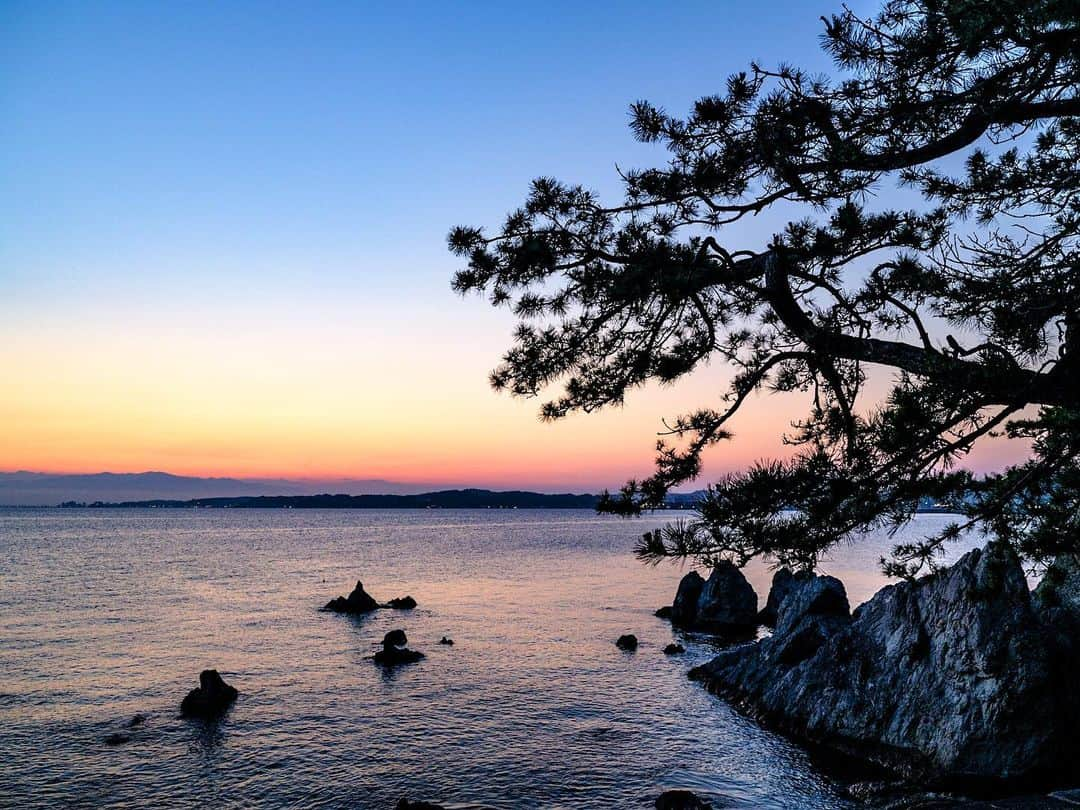 SHOCK EYEさんのインスタグラム写真 - (SHOCK EYEInstagram)「森戸神社の松。  夕陽に照らされた松の木のシルエットがまるで影絵のよう。  源頼朝が休息のため立ち寄った森戸神社でこの見事な松をみて、「如何にも見事な松だ」とほめたと言われている千貫松が岩壁に映える。 そして遠くには江ノ島と富士。  ほんの数分間に訪れた美しい日本の景色にパワーをもらって、 さぁ、今日も頑張ろう。  Pine of Morito Shrine.   The pine trees illuminated by the setting sun look like a shadow picture.   Let's do our best today, being healed by the beautiful scenery💪✨  #森戸神社 #森戸海岸 #神社 #千貫松 #夕景 #日本 #japantravel #japantrip #fujifilm #gfx100s #xs10 #beautifuldestinations #discoverjapan #discoverearth #voyaged #awesome_photographers #discovertokyo #tokyophotography #IamATraveler #wonderful_places #japanphoto #japanphotography #japan_of_insta #livingonearth #theglobewanderer #moritoshrine #morito #sunset #pinetrees #shrine」7月14日 11時24分 - shockeye_official