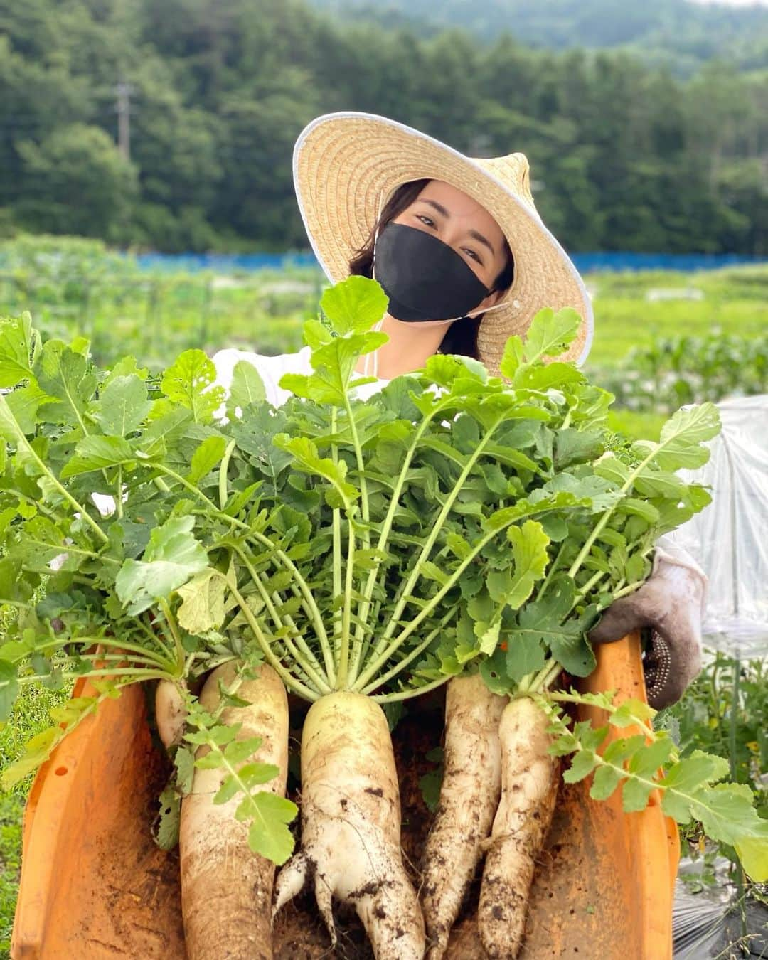 カナさんのインスタグラム写真 - (カナInstagram)「大根の収穫してきたよー！🤍 @coffeeandfarm 👩🏻‍🌾 久しぶりの畑、最高の気分だった！！！☀️ 水やり、支柱立て、雑草取り、剪定もしてきたよ🌿🚿✂️ ． ホームセンターで買った麦わら帽子👒 気に入っちゃったぁ🤣🎶笑 ． みんなにもかなが育てた野菜、食べてほしい🥺🌽 ． #農業　#coffeeandfarm」7月14日 12時14分 - _kana627_