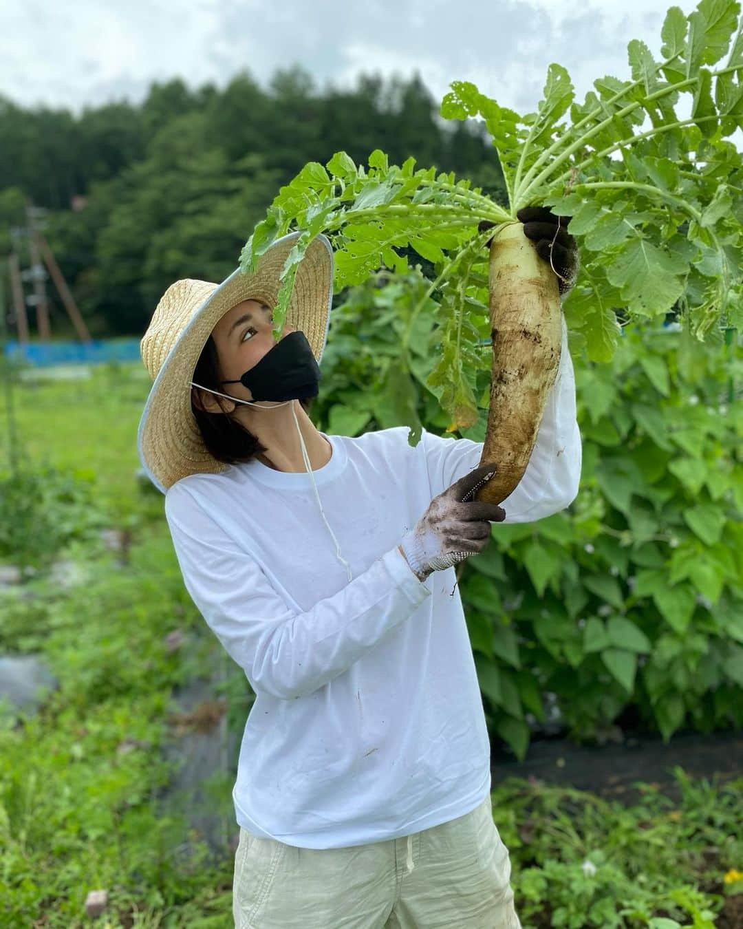 カナさんのインスタグラム写真 - (カナInstagram)「大根の収穫してきたよー！🤍 @coffeeandfarm 👩🏻‍🌾 久しぶりの畑、最高の気分だった！！！☀️ 水やり、支柱立て、雑草取り、剪定もしてきたよ🌿🚿✂️ ． ホームセンターで買った麦わら帽子👒 気に入っちゃったぁ🤣🎶笑 ． みんなにもかなが育てた野菜、食べてほしい🥺🌽 ． #農業　#coffeeandfarm」7月14日 12時14分 - _kana627_