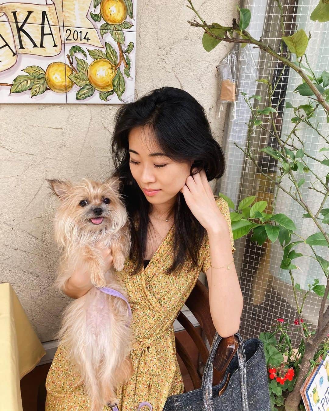 芦田ユリナのインスタグラム：「🌻🐕🍋」