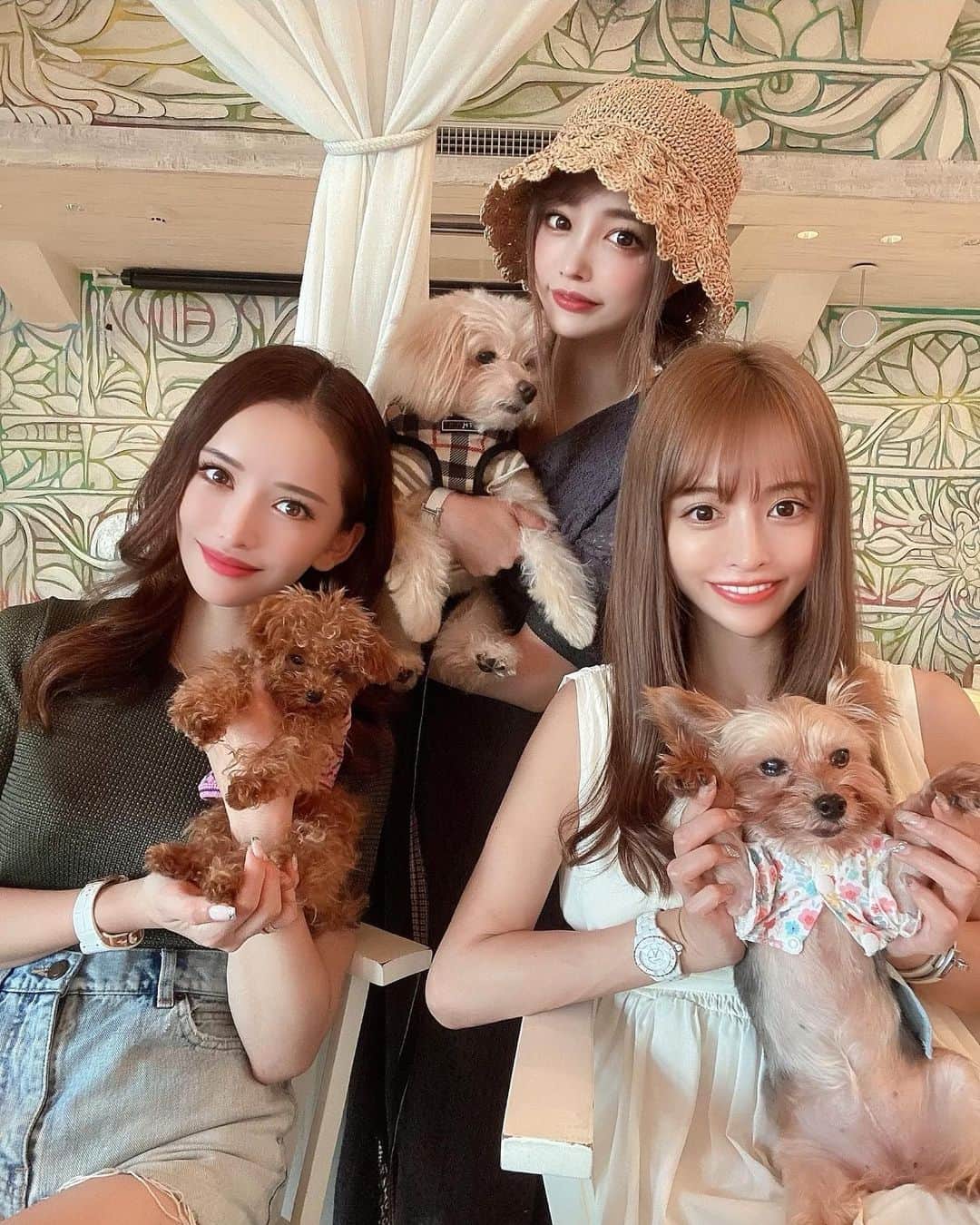 のインスタグラム：「たらこ初めてのワンコ会参戦🐶🔥 . リボンちゃんと ツナ吉くんと 沢山遊んでもらえて幸せだったね💖 ママ達も永遠に喋ってて 楽しかった🤪笑 . お洋服は @chicc_official 🐩 まだ少し大きかった🤏笑 . . #犬会 #犬のいる暮らし #犬バカ部 #愛犬 #愛犬との暮らし #ドッグカフェ」