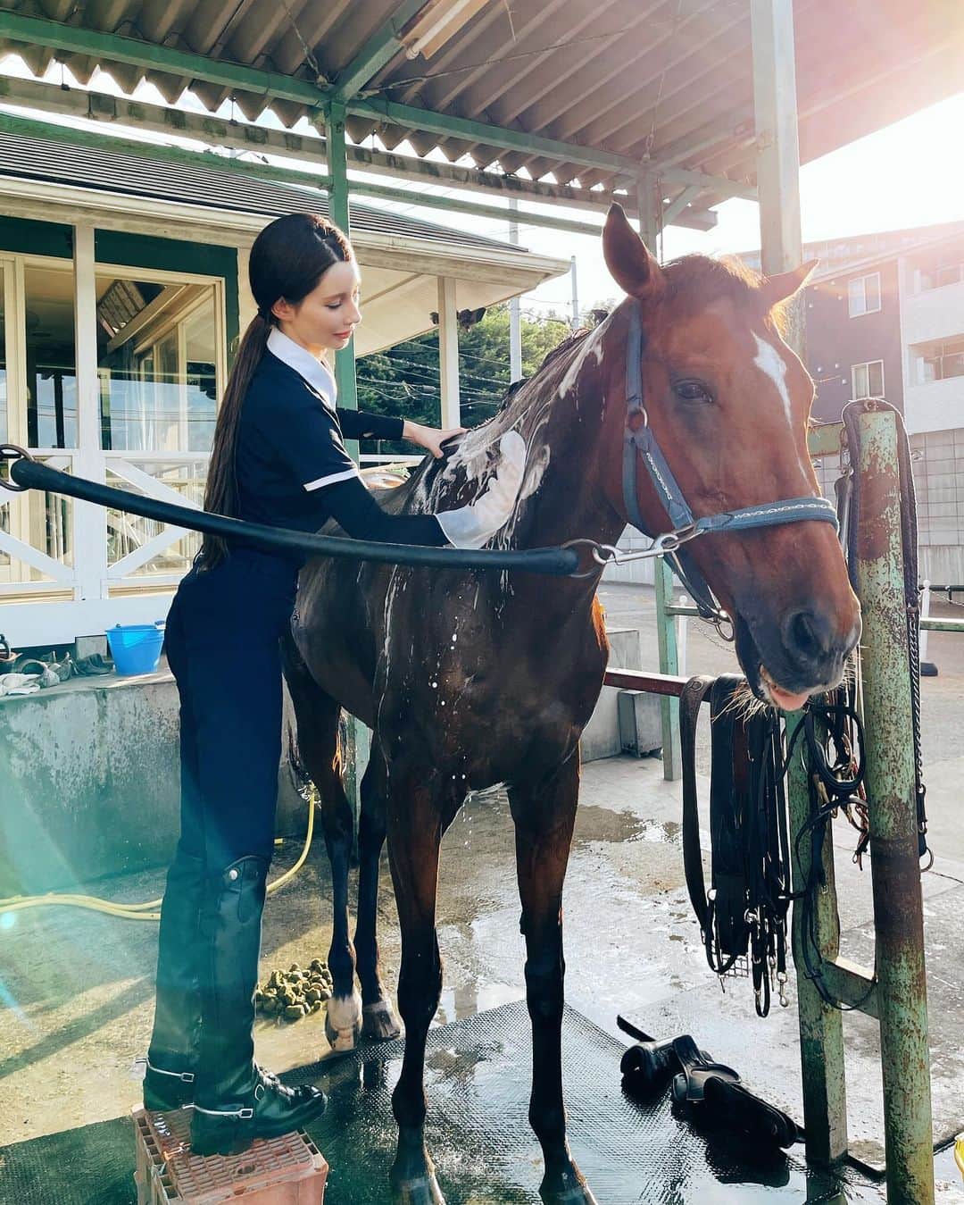 ダレノガレ明美さんのインスタグラム写真 - (ダレノガレ明美Instagram)「🐎🐎🐎 お馬さん 乗った後にシャンプーしてたら💩しました！ お尻洗ったばかりだったのに🤣 気持ちよかっただろうなー✨  #乗馬 #승마 #horseriding」7月14日 21時00分 - darenogare.akemi