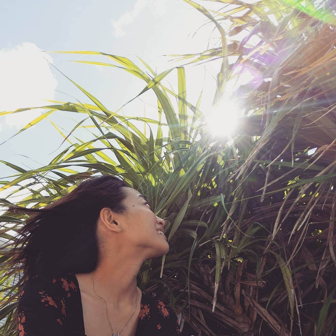 青柳愛さんのインスタグラム写真 - (青柳愛Instagram)「晴れ渡る空 どこまでも碧い海🌴🌊🌅  鳥の背に 涙飛び去る 空彼方」7月15日 8時44分 - aoyagiakayagi