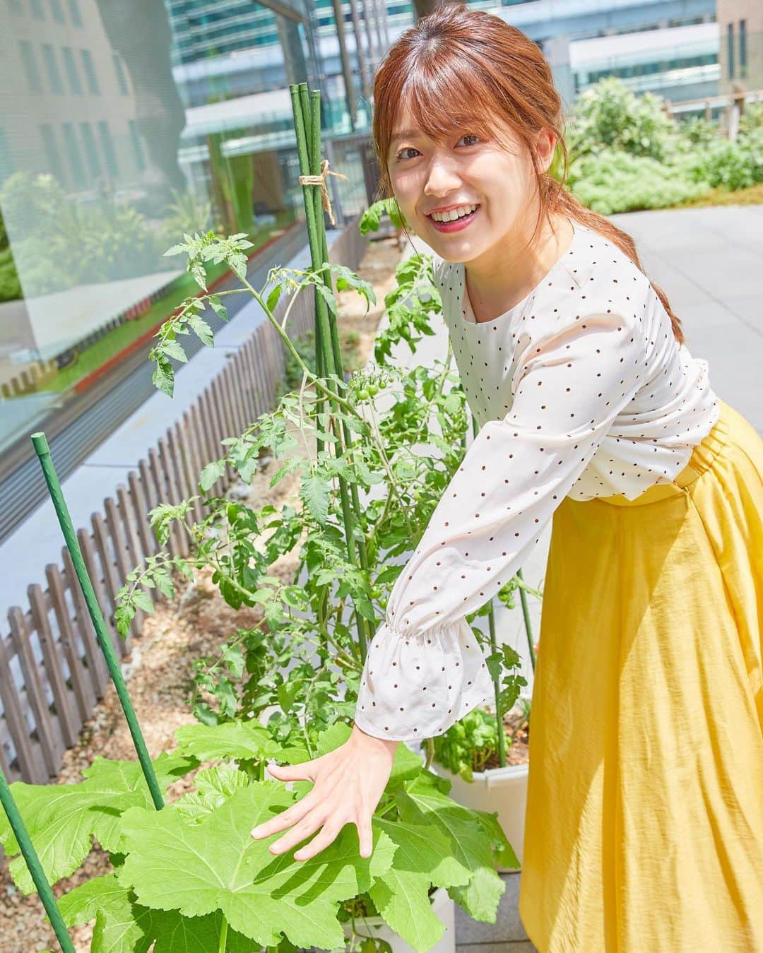 尾崎里紗さんのインスタグラム写真 - (尾崎里紗Instagram)「オクラの葉っぱが こんなに大きくなりました〜🌿 手のひらと比べてみたら・・ こんなにちがう！ あと少しでオクラにも花が咲きそうです。 ハイビスカスに似た、綺麗なお花なんだとか。。  もうすぐミニトマトは収穫できそうです😋 楽しみだー！！ . #バゲットガーデン #オクラ　#日々成長 #気づけば植物日記になってる笑 #また更新しますね🌱」7月15日 17時51分 - ozaki.risa