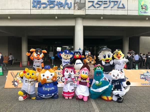 阪神タイガースのインスタグラム