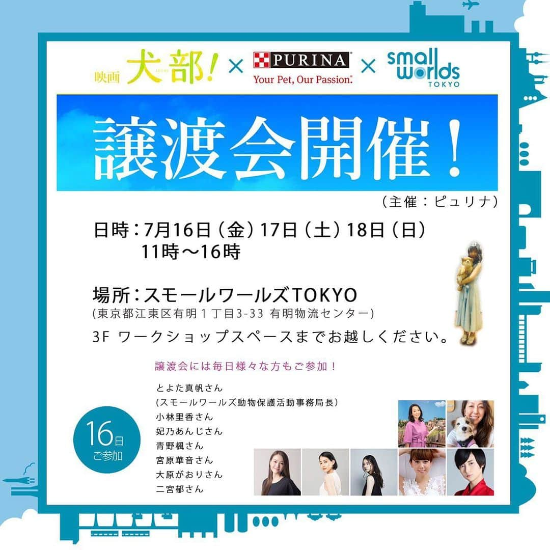 妃乃あんじのインスタグラム：「とよた真帆さん @maho_toyota より素敵なイベントにお声かけ頂きました！ 有明にあるスモールワールズで保護犬、保護猫の譲渡会が開催されます。 私は7月16日の明日に参加させて頂くことになりました！ 私も保護猫を飼って4年、日々愛情たっぷりの毎日に癒されてます。 もしお時間あればぜひ可愛いワンちゃん、ネコちゃんに、そしておまけで私に笑 スモールワールズに会いにいらしてください♡  #スモールワールズ東京  #保護猫　＃保護犬 ＃譲渡会 #妃乃あんじ」