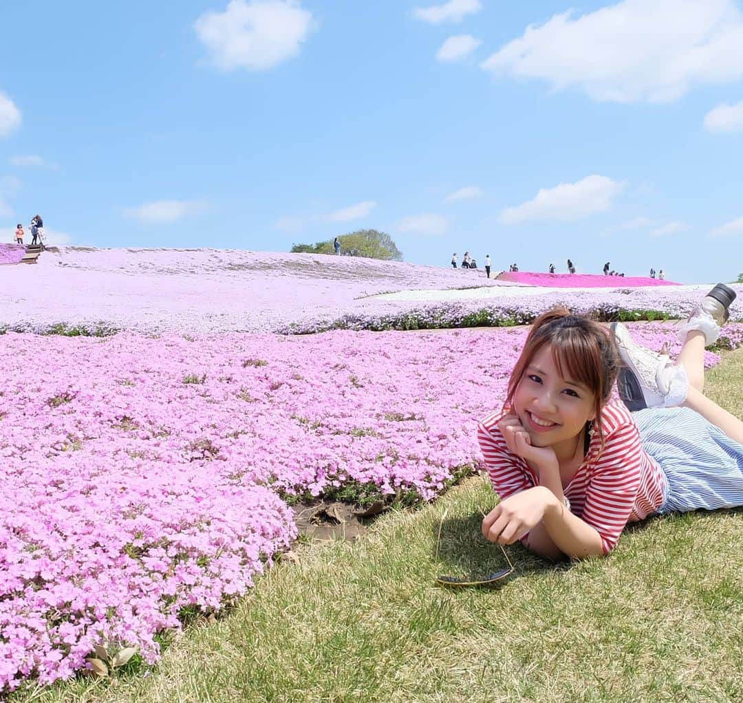ビーム先生のインスタグラム：「😍千葉県のお花🌸🌼 ชิบะซากุระจังหวัดจิบะ สวยมากกกกก ตอนไปคนน้อยมากๆ ลงไปนอนกลิ้งกับหญ้าได้ อากาศก็ดี พื้นก็สะอาด 🥰  #influencer #blogger #youtuber #thai #thaigirl #japan #日本　#タイ　#インフルエンサー　#ブロガー　#ユーチューバー　#外国人　#訪日外国人　#タイ人　#タイ語　#บล็อกเกอร์ #ยูทูปเบอร์ #ไทย #ญี่ปุ่น #ภาษาญี่ปุ่น」