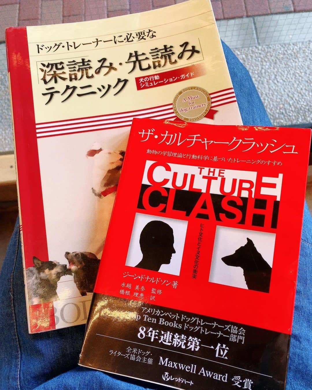 小田飛鳥さんのインスタグラム写真 - (小田飛鳥Instagram)「好きな事だとお勉強してても眠くならないんですね🐕🐕🐕 お耳に柴ちゃん☺️ #お勉強 #study #dog #犬スタグラム」7月15日 13時04分 - asuka_oda_0320