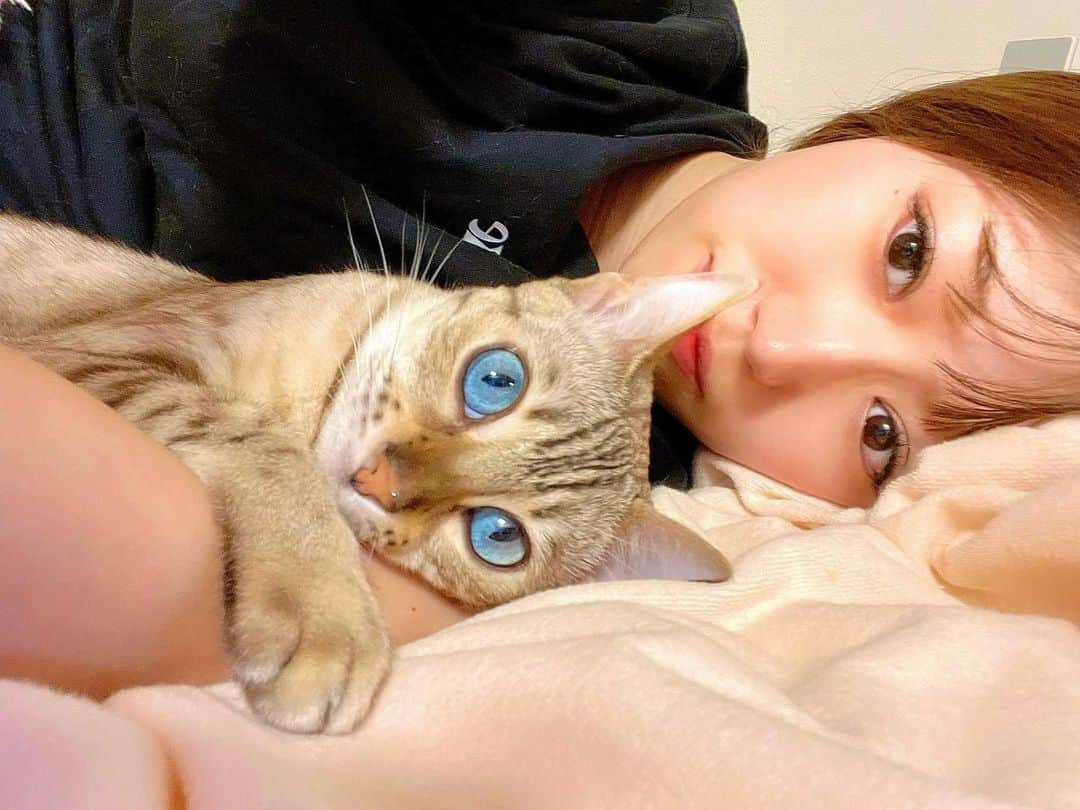 栗原里奈さんのインスタグラム写真 - (栗原里奈Instagram)「腕まくらネコ😼 カメラ目線うまいんです😼  #スノーベンガル #ブルーアイ #ねこのいる生活」7月15日 15時09分 - rina__kurihara