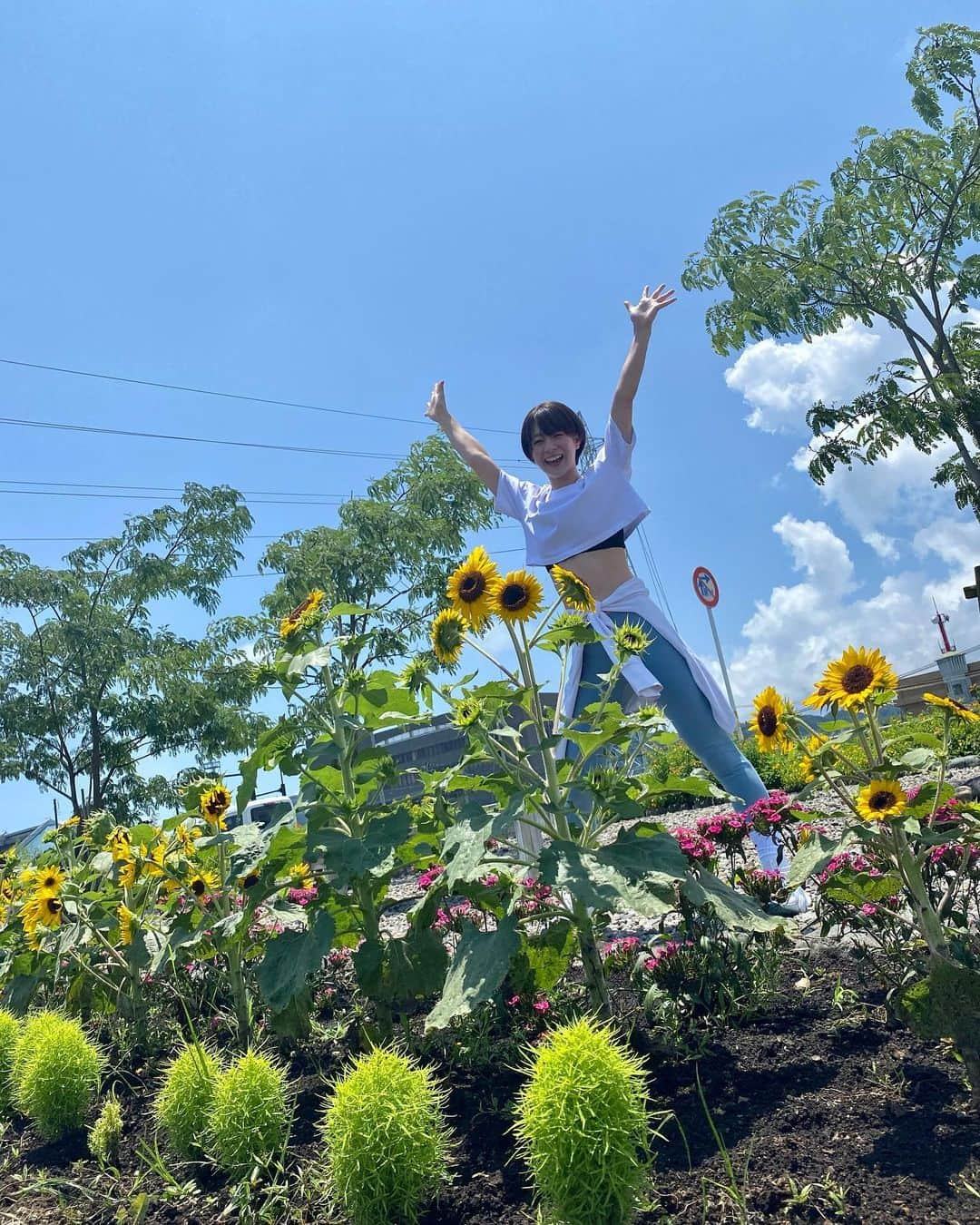 酒井瞳さんのインスタグラム写真 - (酒井瞳Instagram)「なつ🌻夏🌻🌻ナツ〜🌻🌻🌻‼️  #宮崎 #延岡 #延岡市 #のべおか #地元 #ひまわり #向日葵 #夏 #ぼくのなつやすみ #summer」7月15日 16時31分 - s.sakaihitomi