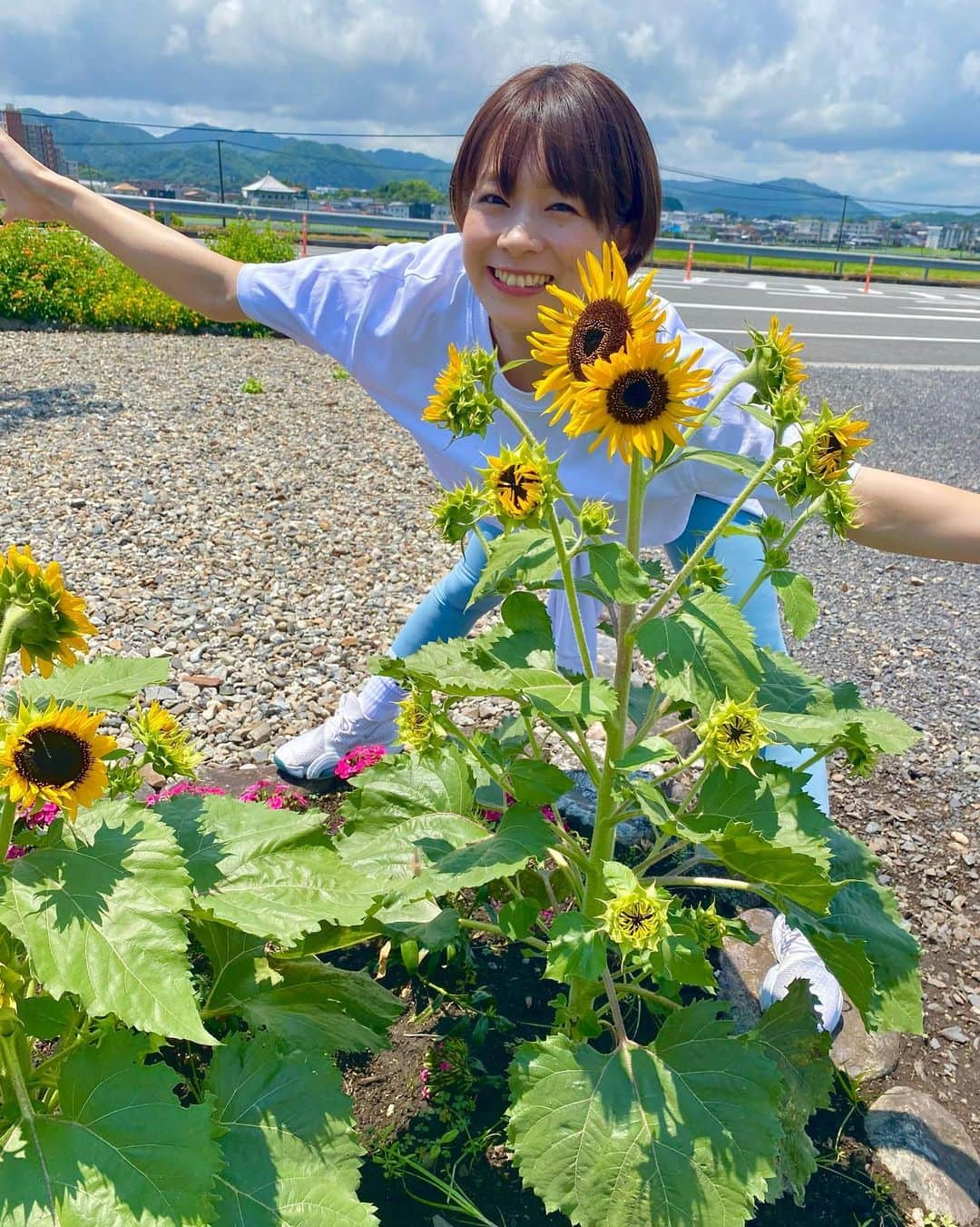 酒井瞳さんのインスタグラム写真 - (酒井瞳Instagram)「なつ🌻夏🌻🌻ナツ〜🌻🌻🌻‼️  #宮崎 #延岡 #延岡市 #のべおか #地元 #ひまわり #向日葵 #夏 #ぼくのなつやすみ #summer」7月15日 16時31分 - s.sakaihitomi