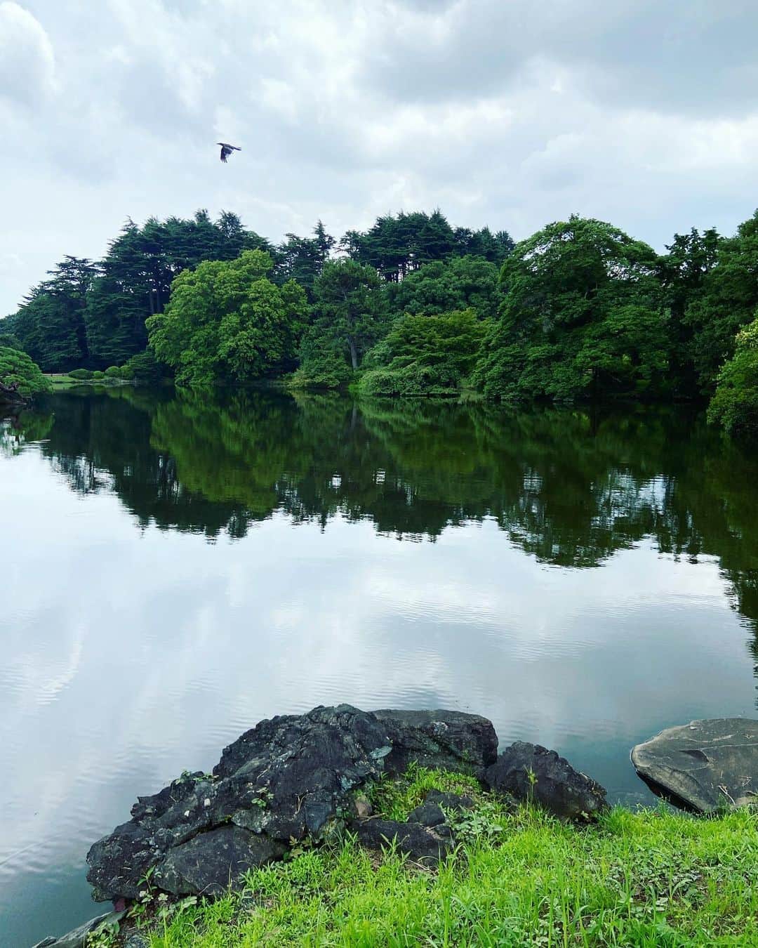 渡辺有子のインスタグラム：「ノートを持ってアトリエを抜け出し公園のベンチで仕事を。雨が降り出す前にと集中でき、そして深呼吸もできて、なかなかにはかどりました。気分転換は大切ですね。」