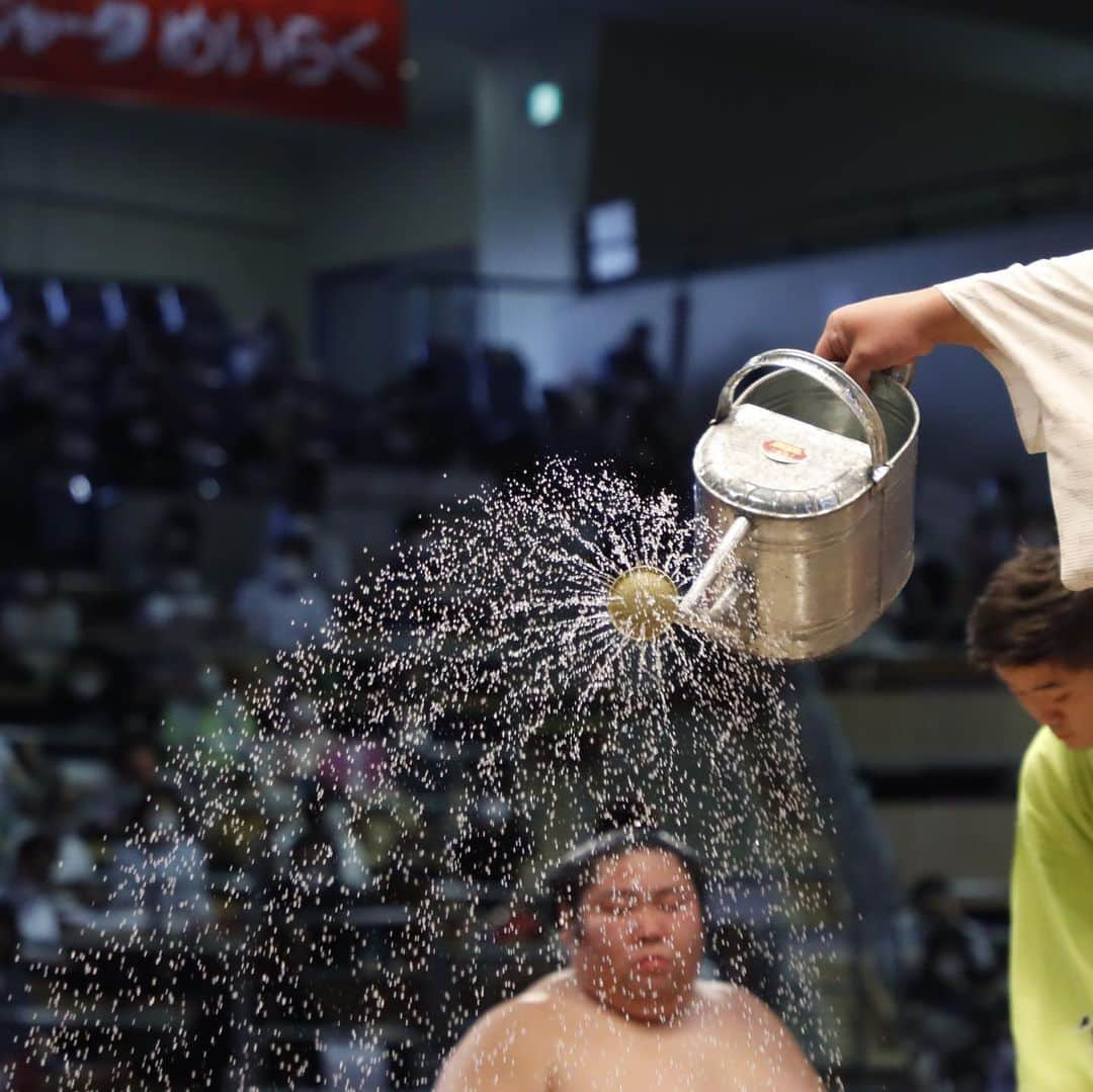 日本相撲協会さんのインスタグラム写真 - (日本相撲協会Instagram)「名古屋場所十二日目 白鵬、照ノ富士 互いに譲らず12連勝。 名古屋場所も残すところ後3日！  @sumokyokai  #大相撲 #sumo #相撲 #力士 #お相撲さん #japanphoto #sumowrestlers #japanculture  #7月場所 #七月場所 #名古屋場所 #名古屋 #ドルフィンズアリーナ #宇良 #玉鷲 #千代翔馬 #照強 #妙義龍 #翔猿 #隆の勝 #北勝富士 #髙安 #霧馬山 #照ノ富士 #白鵬」7月15日 20時50分 - sumokyokai