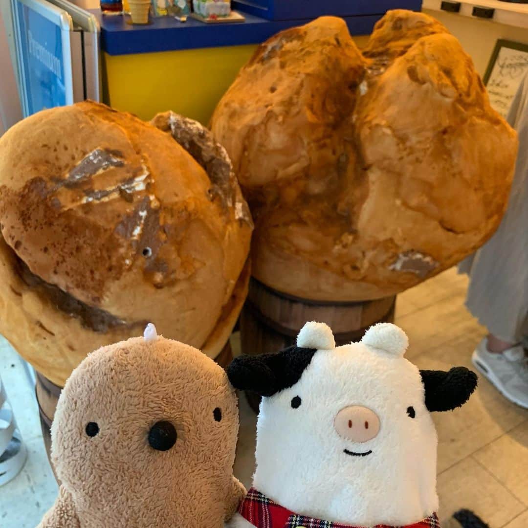 江口ともみのインスタグラム