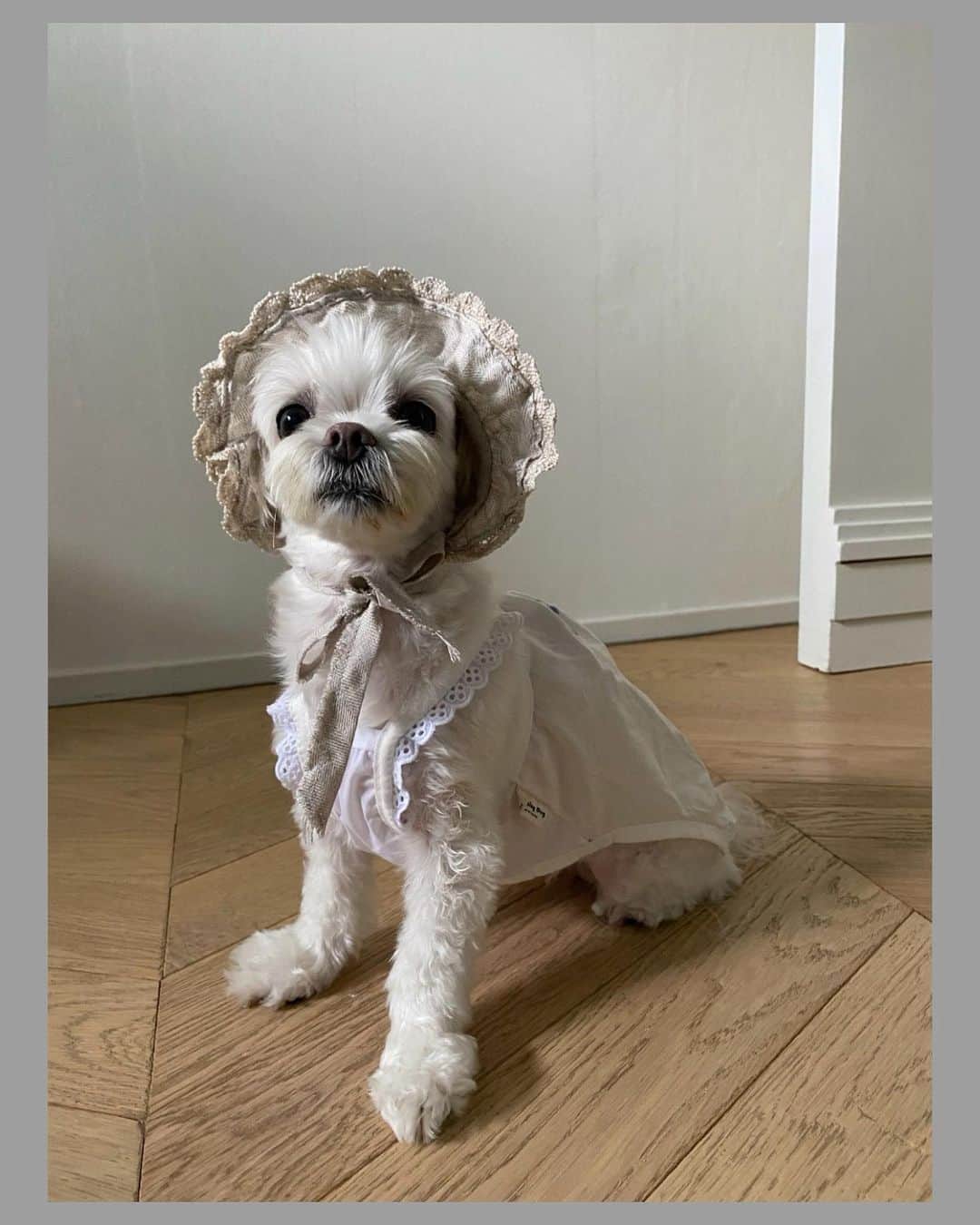 のインスタグラム：「몽숙이💜」