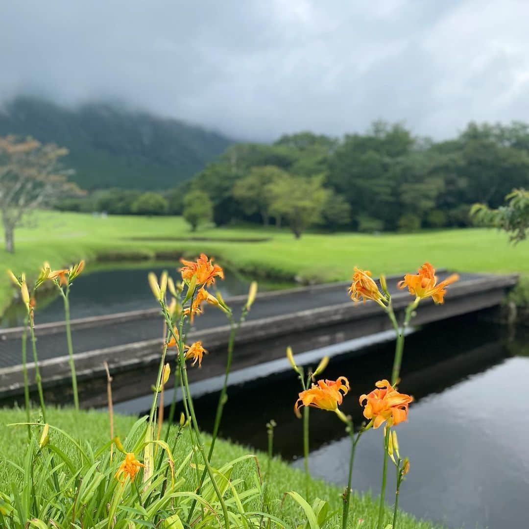 葉月里緒奈さんのインスタグラム写真 - (葉月里緒奈Instagram)「三歩進んで五歩下がる〜(笑) #ゴルフ#ゴルフ大好き#箱根カントリー倶楽部 #ゴルフウェア#ニューバランス#天ざる#白ワインと共に#アプローチがダメダメ #ゴルフって難しい#来月からスクール通う #rionahazuki」7月16日 10時33分 - riona_hazuki