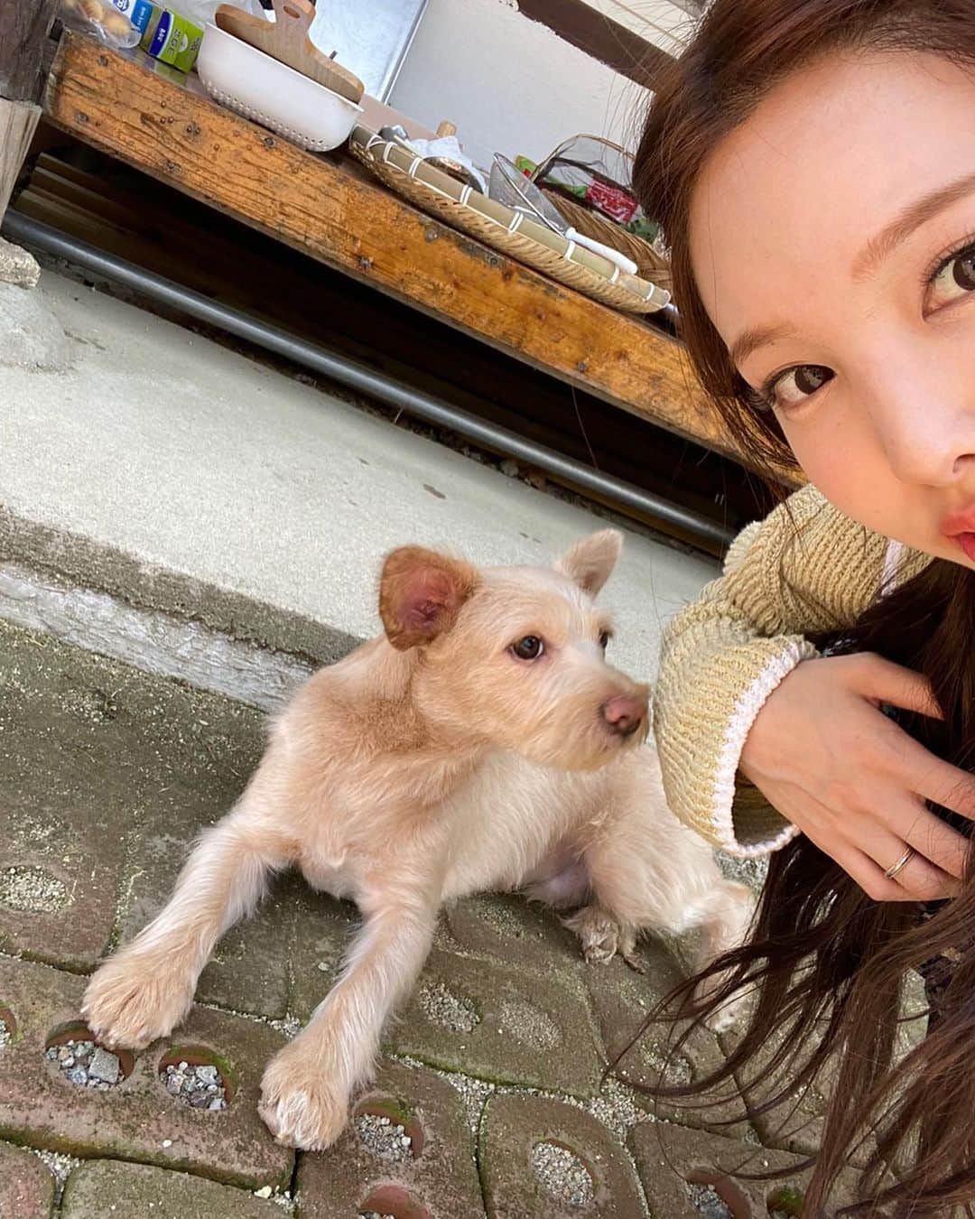 TWICEさんのインスタグラム写真 - (TWICEInstagram)「😝😝😝」7月16日 22時18分 - twicetagram