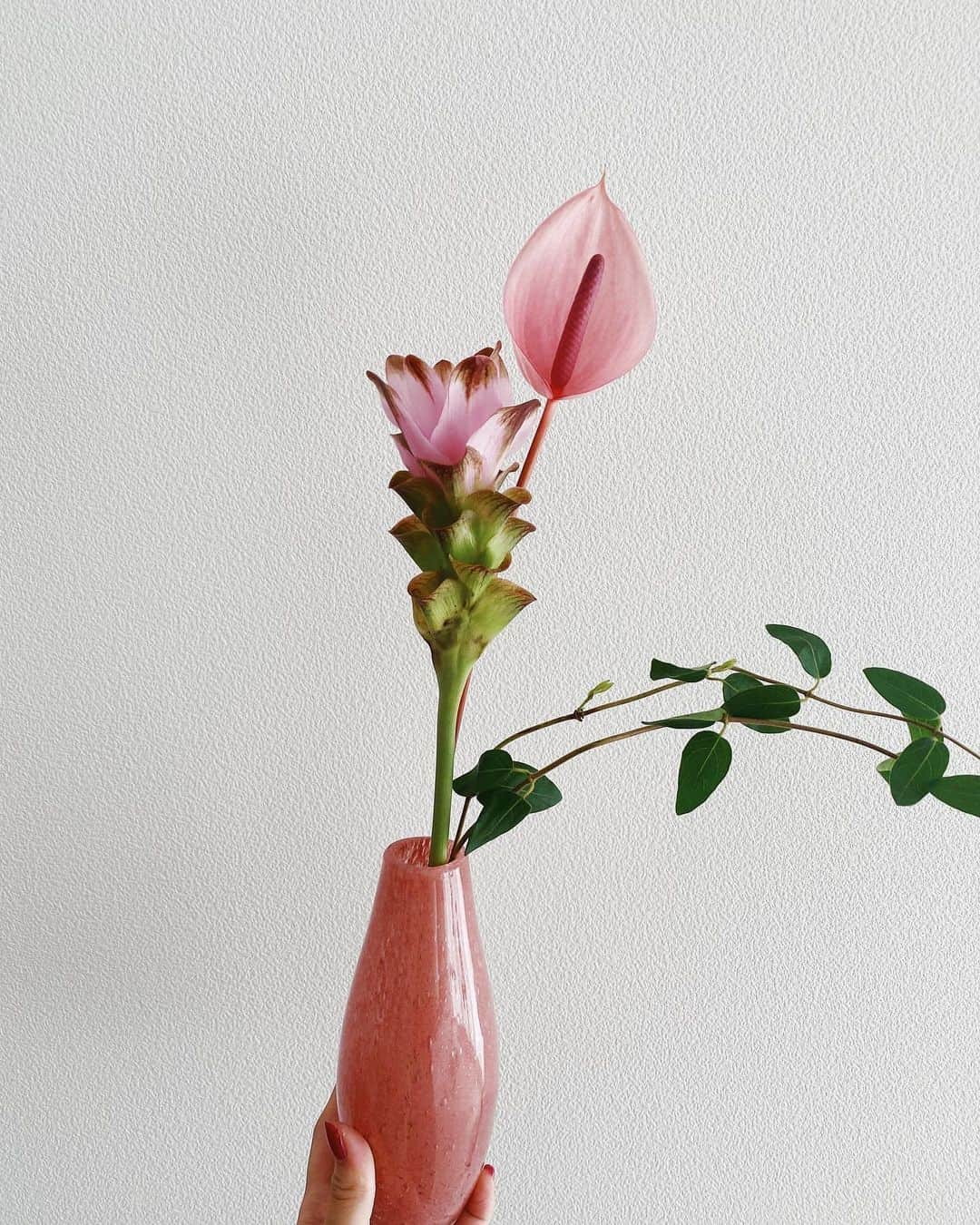 谷まりあさんのインスタグラム写真 - (谷まりあInstagram)「Today’s flower 🥰 昨日頂いたお花に加えて、今朝お花屋さんがバラをおまけしてくれてお部屋にお花がたくさん！朝から幸せな一日を送れました💖 お花の写真はアップで撮ってしまいます🥺 大ちゃんからも素敵ギフトが届いて、使ってみてさらに気分アップな朝でした💖  今日もお疲れ様でした☺️  スイカジュースを飲んで寝ようと思います🍉 おやすみなさい😴  #maria_flower」7月16日 22時23分 - mariaaaa728