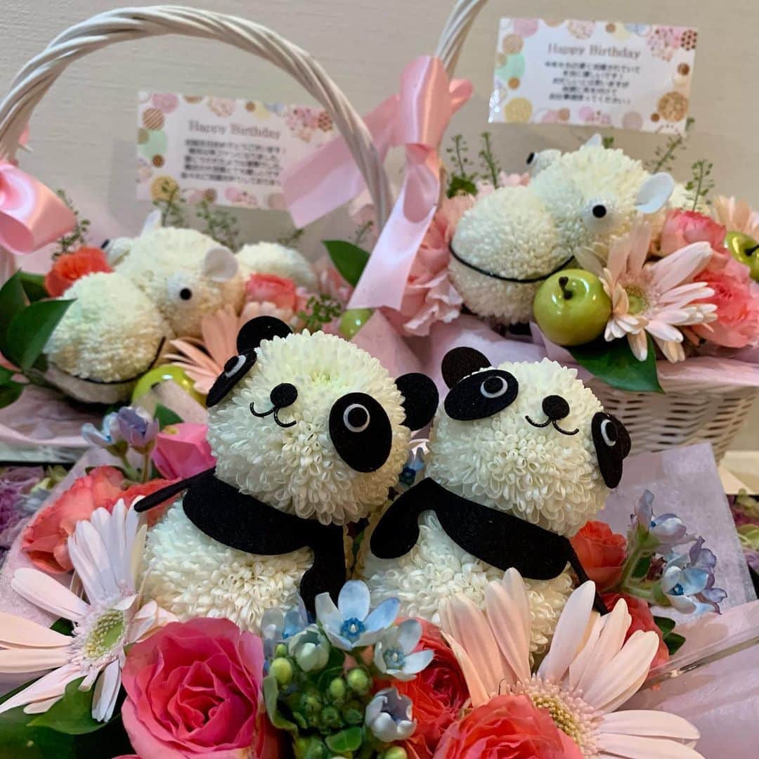 柴田英嗣のインスタグラム：「感謝  #自分昨日産まれてまして #沢山のメッセージやらお花アザス #都知事と同じ誕生日だと知る #ファミコンと同じ誕生日と知る #阿佐ヶ谷姉妹の江里子さんと同じ誕生日と知る #しかも江里子さんは３個上だと知る #今後彼女を見かけたら江里子お姉さんと呼ぶかいなか検討する #ついでに美穂さんも２つ上と知る #美穂さんは昔ギター部だったと知る #ギター部ってと思う #英嗣46歳まだまだ頑張らねば。 #皆さん本当にありがとう！！」
