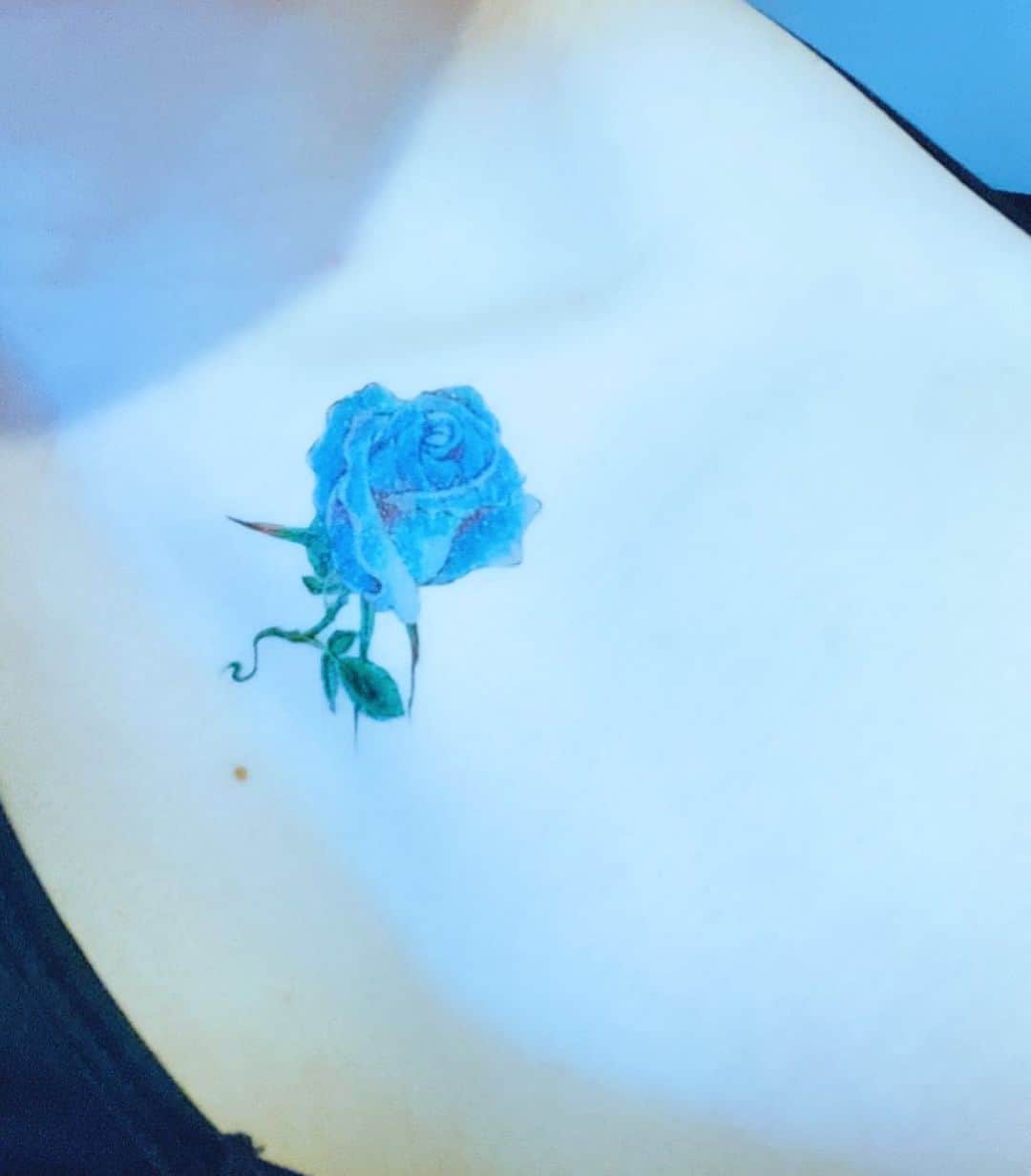 のインスタグラム：「青薔薇  今日の動画のドッキリ動画の。」