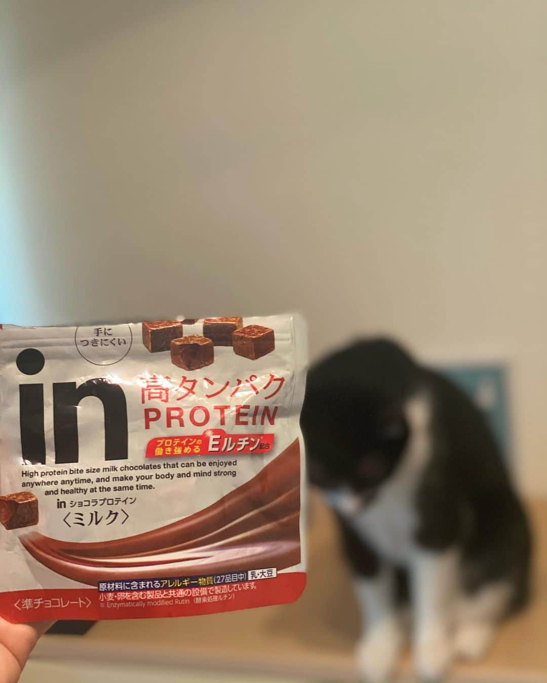 宮河マヤさんのインスタグラム写真 - (宮河マヤInstagram)「Chotolate Protein🍫リュックの中には必ず小腹を満たしてくれる食べ物を入れてるよ😎✌️  この日持参したのは、Eルチン配合の「inショコラ」のチョコプロテイン！🍫🤤  Eルチンはポリフェノールの一種で、プロテインの働きを強めてくれる作用もあるから嬉しい🕊  パーソナルのお仕事から美容院への移動中にパクっ🏋️‍♀‍💇‍♀‍美容院でもパクっ。 普段からトレーニング後や、小腹が空いた時に口にしているよ〜！カラダづくりに欠かせない、トレーニングあるある💪✨  *Enzymatically Modified Rutin  #酸素処理ルチン #Eルチン #プロテインの働き高める #inショコラプロテイン #タンパク質 #プロテイン #筋トレ #PR」7月16日 18時38分 - maya_m0901